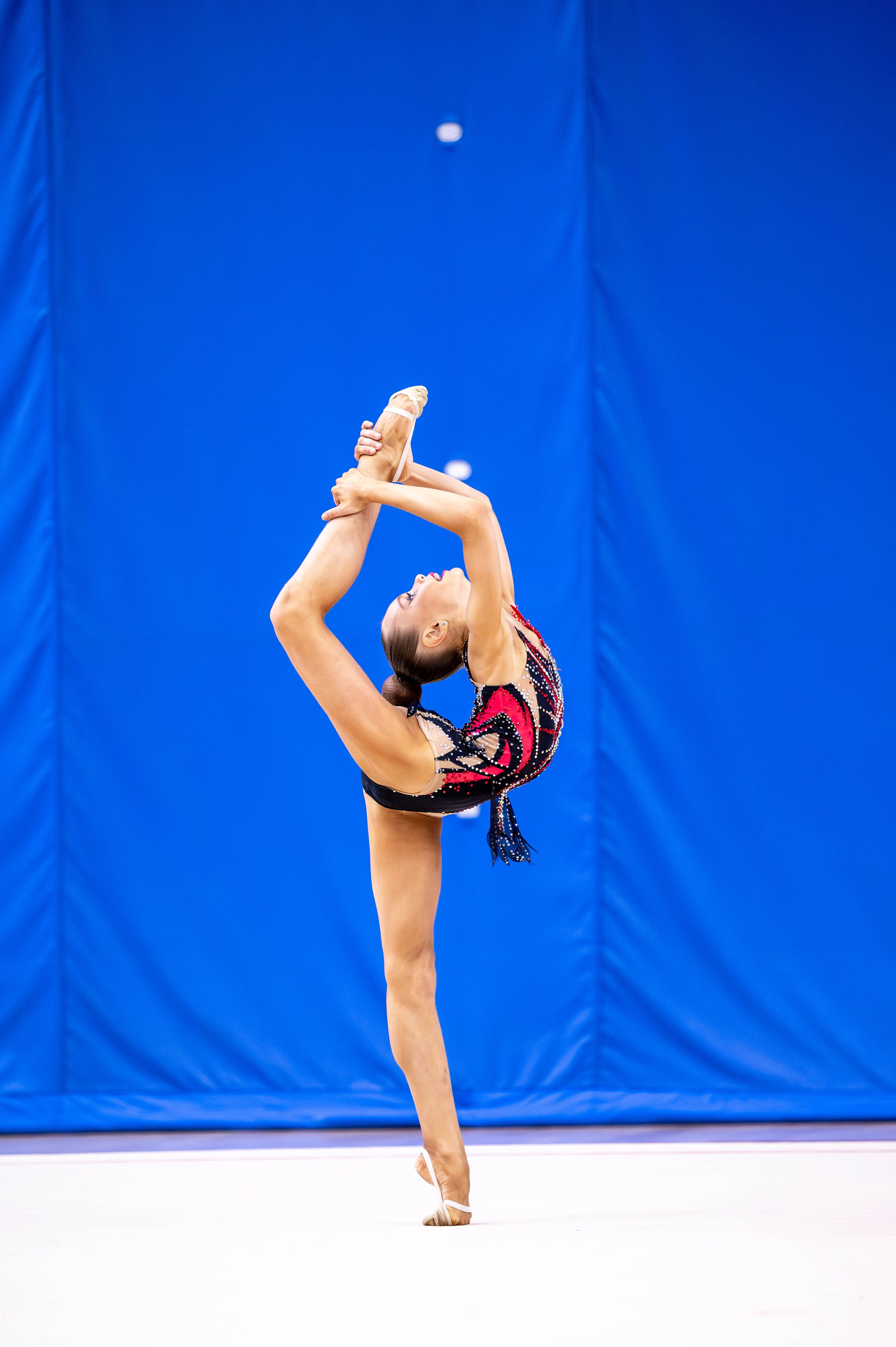 ЧиП Тульской области, ноябрь 2024. Спортивный фотограф в Туле и Тульской области. Файсханова Фото Спорт