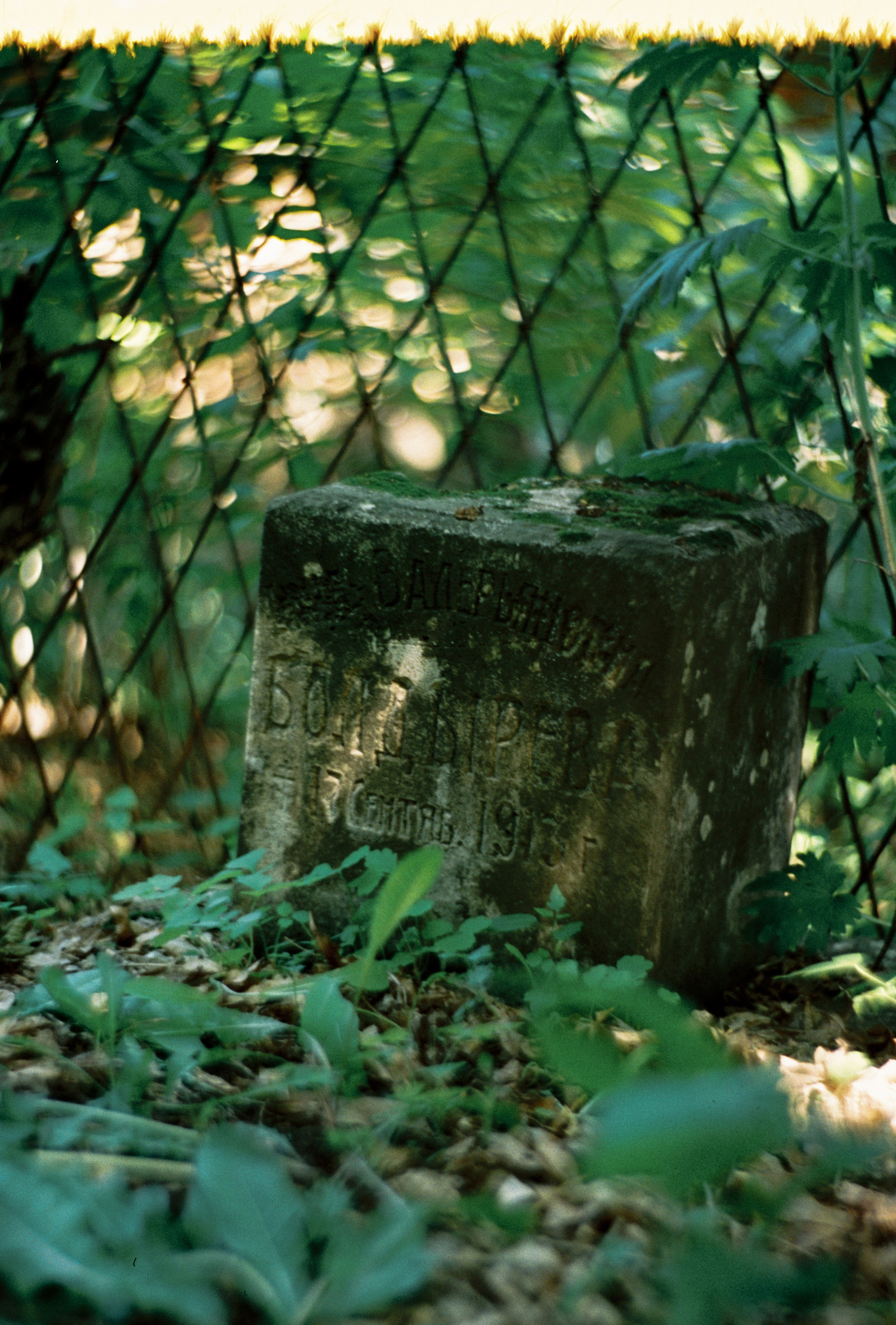 Пленочная история. Дмитрий Пропадалин, Нейрофотография