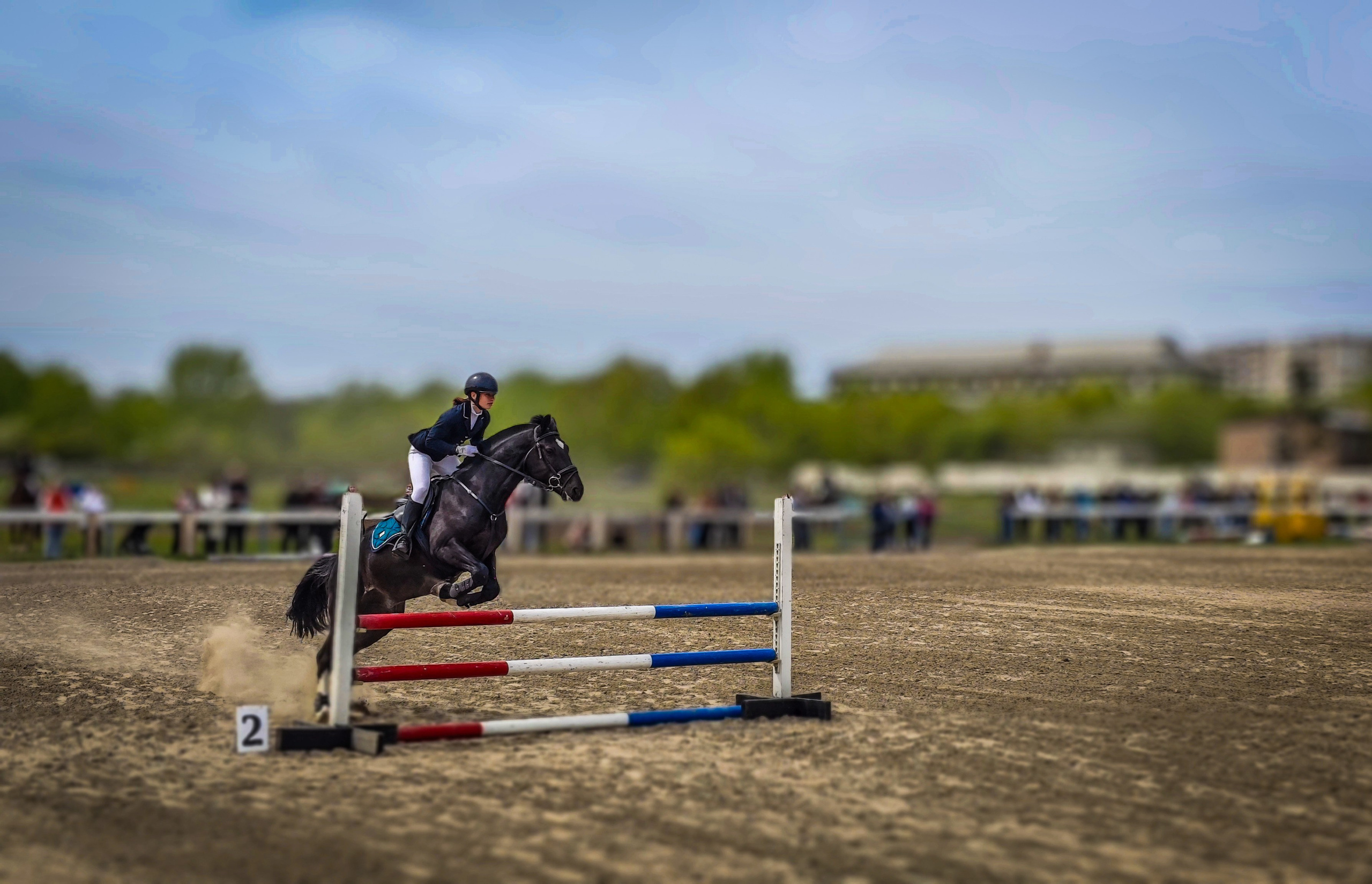 Красноярский ипподром. Открытие сезона 2025. Игорь Урывский. Фотограф Красноярск