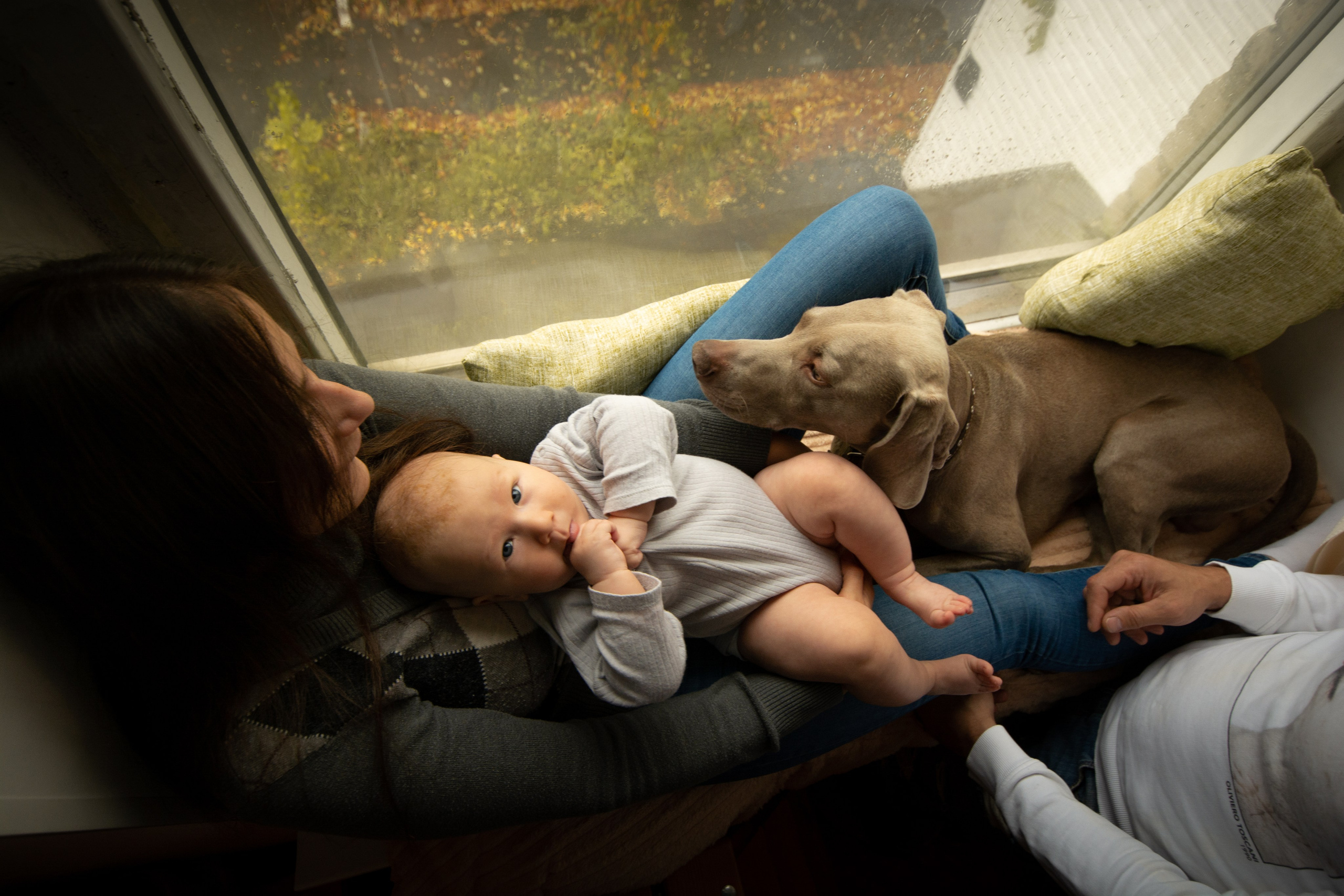 3 месяца малыш. Фотосессия беременности — Крылова Натали — Москва