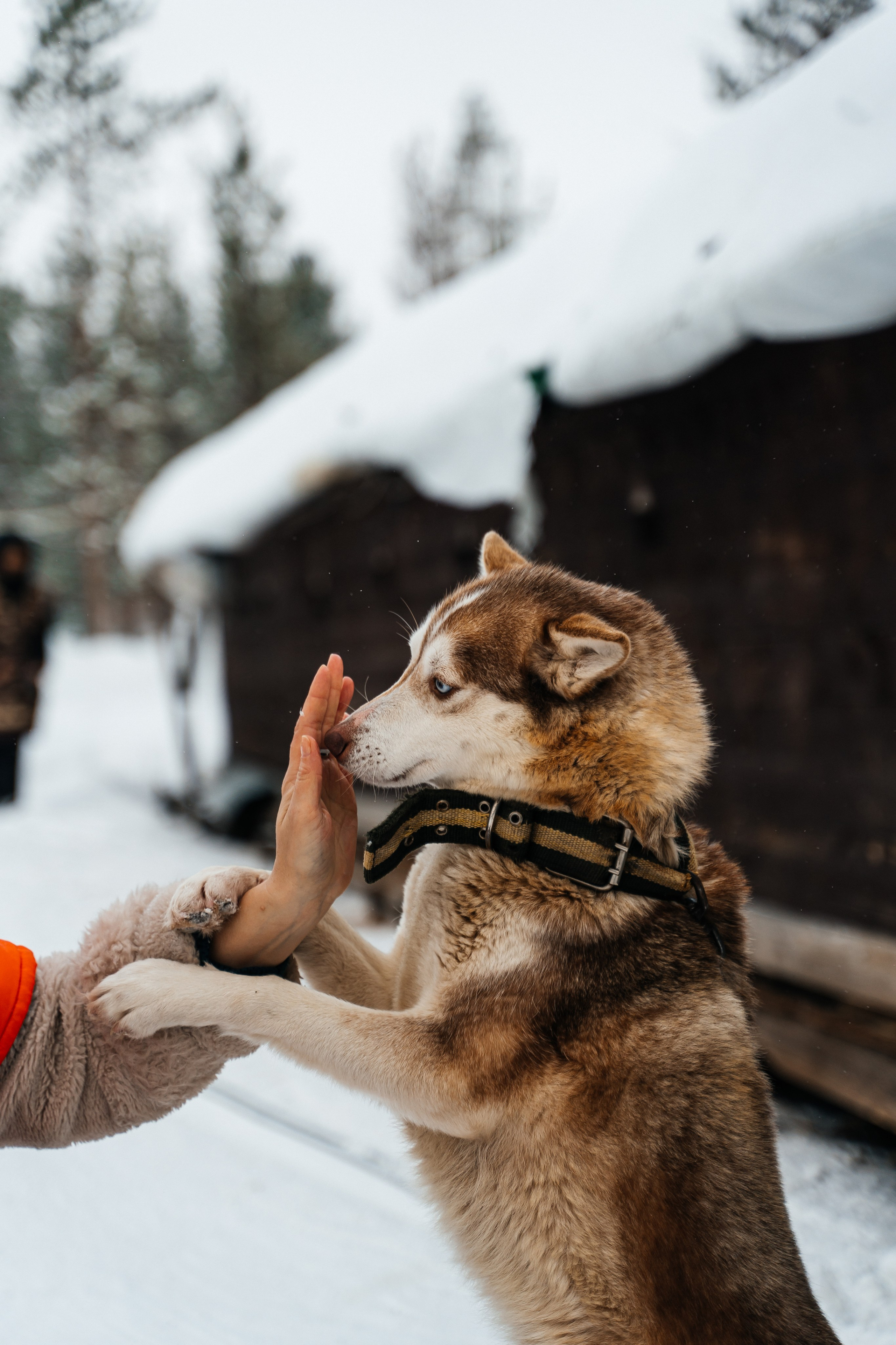 Териберка. Семейный фотограф в Санкт-Петербурге