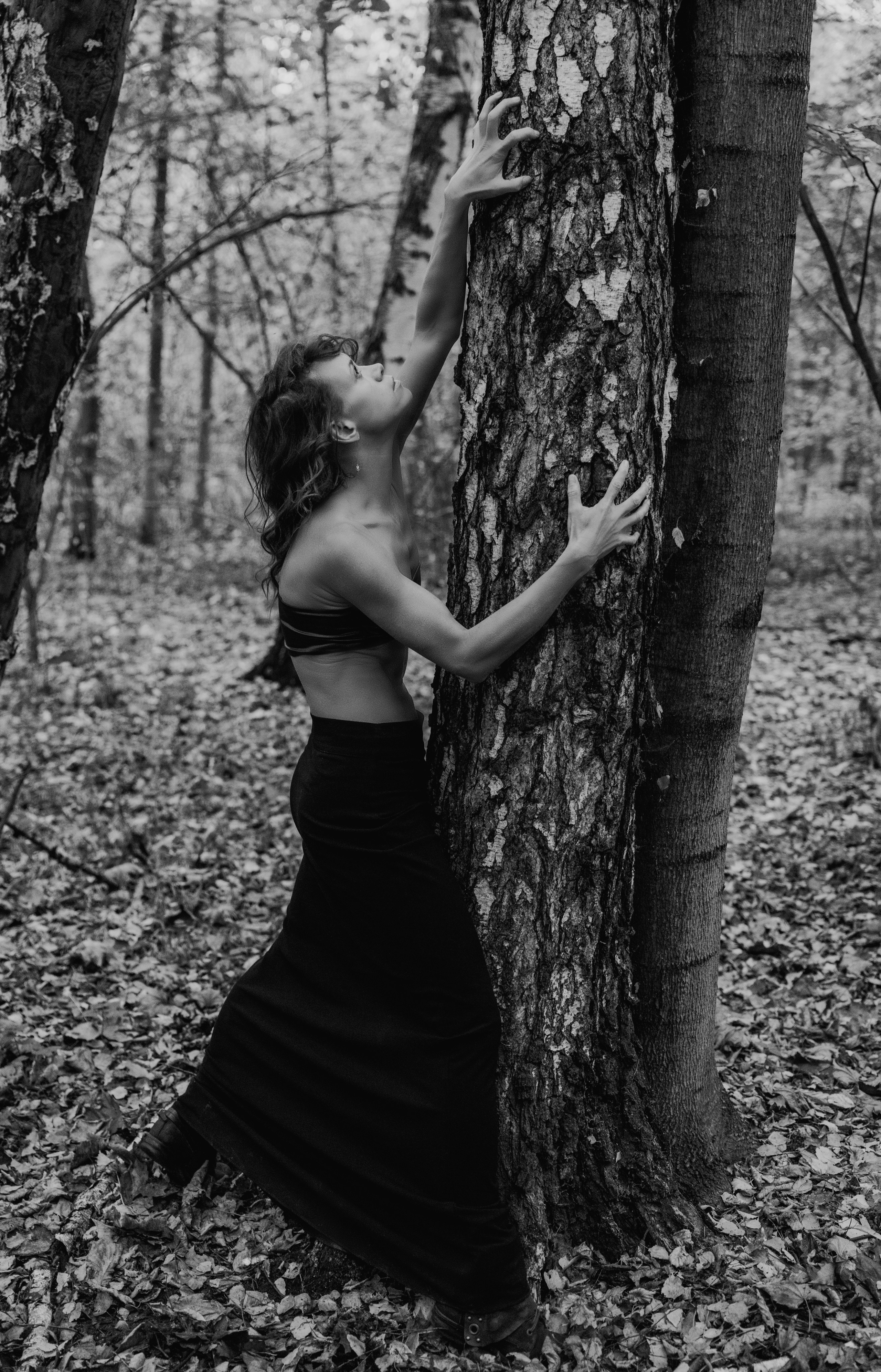 Kristina-Brauer. Shamirov Arkadiy