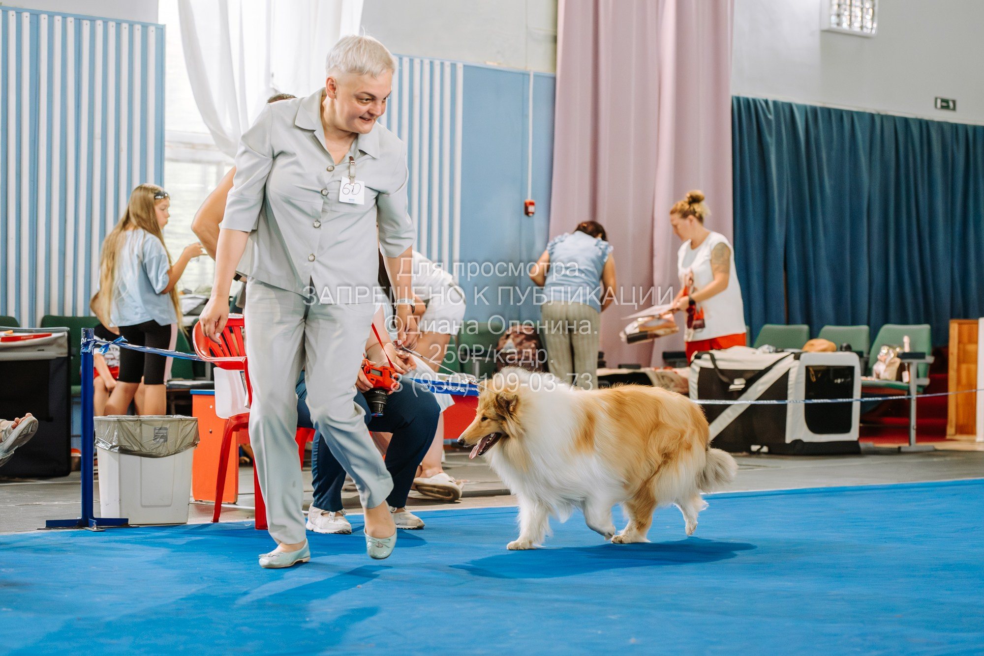 Национальная выставка собак всех пород ранга САС-IKU «Кубок Красноярск. Фотограф Диана Оленина Красноярск / Братск