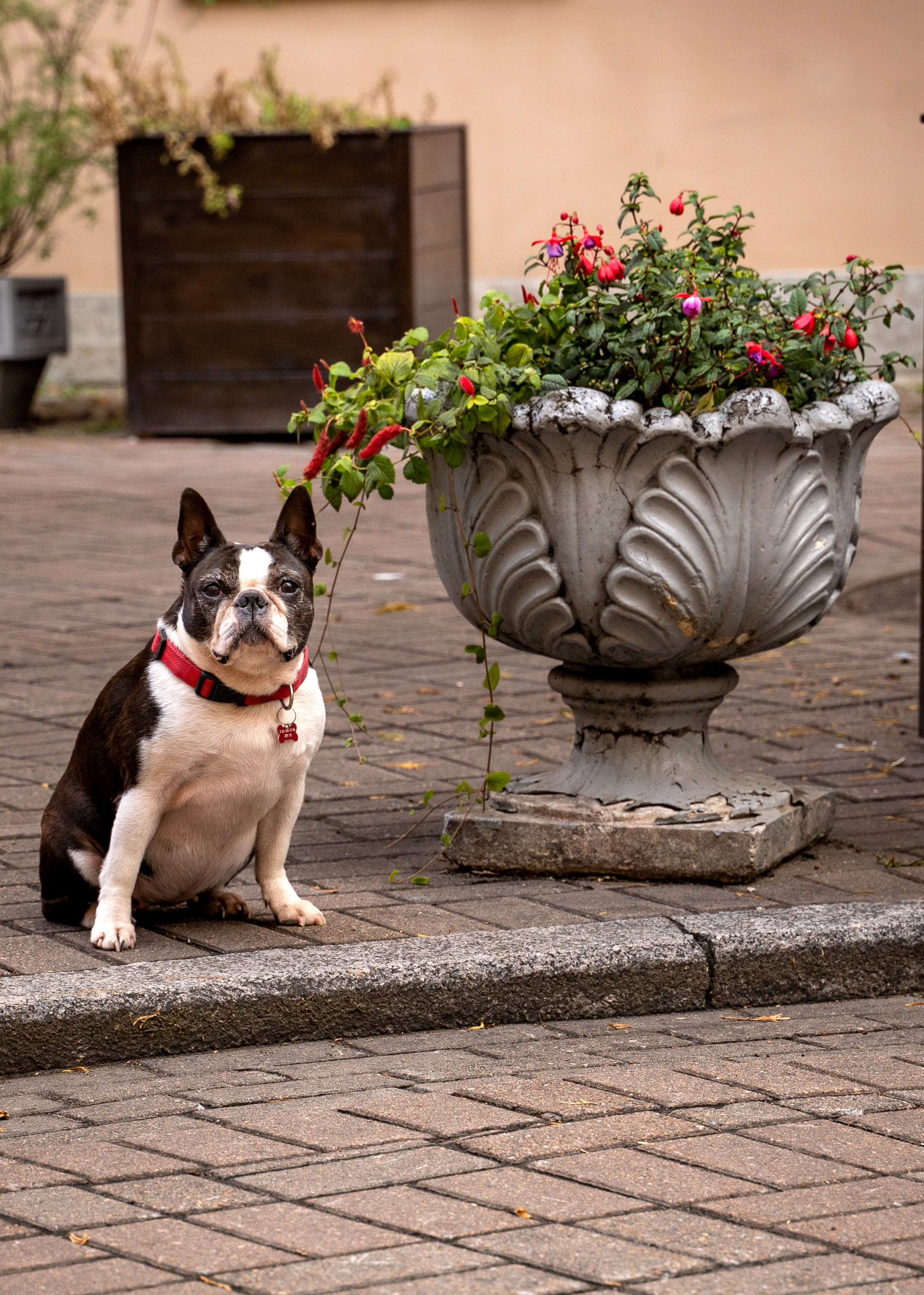 ОЛЬГА. Портретный фотограф. Актёрское портфолио
