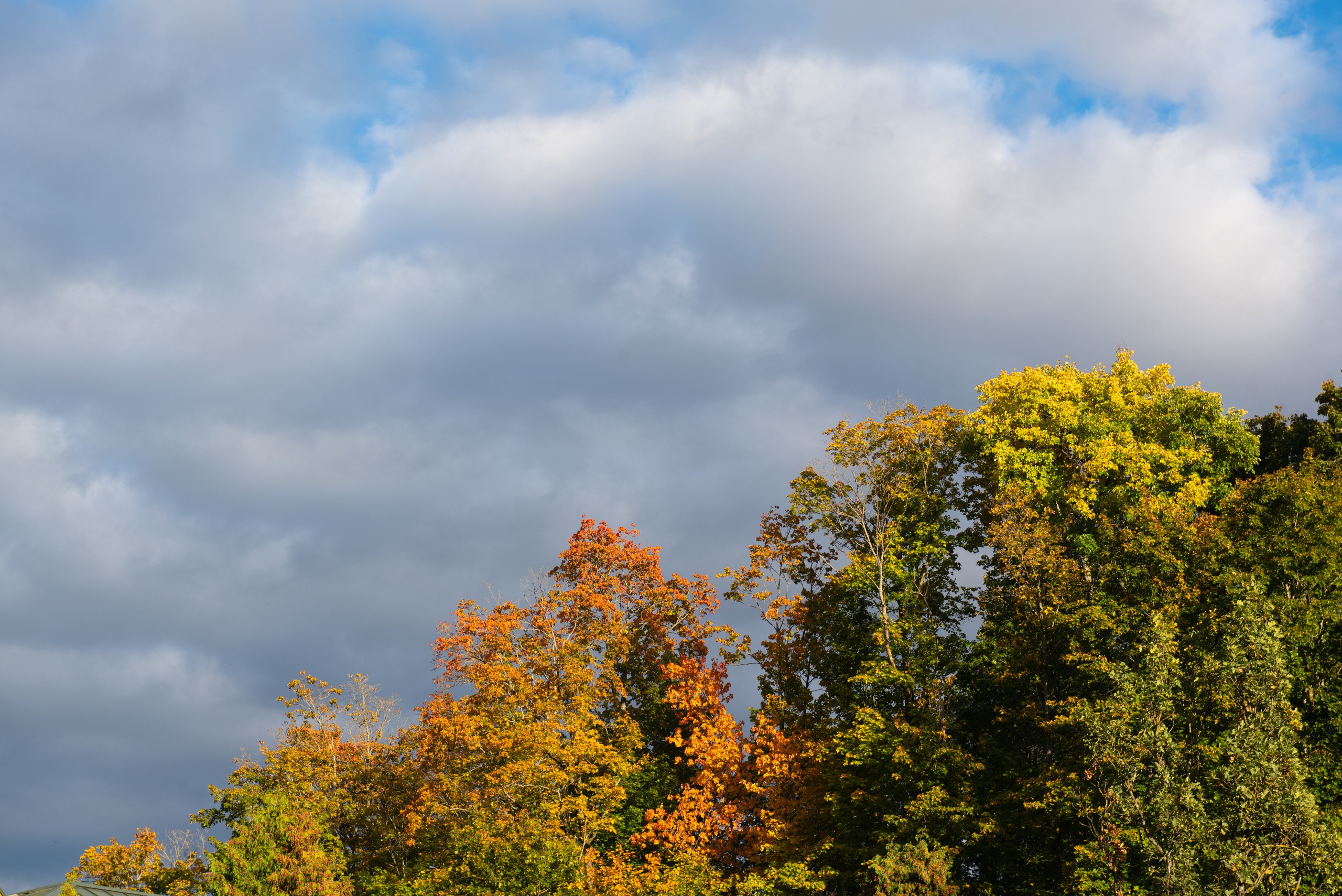 Печоры. Портретный и архитектурный фотограф в Москве и Санкт-Петербурге