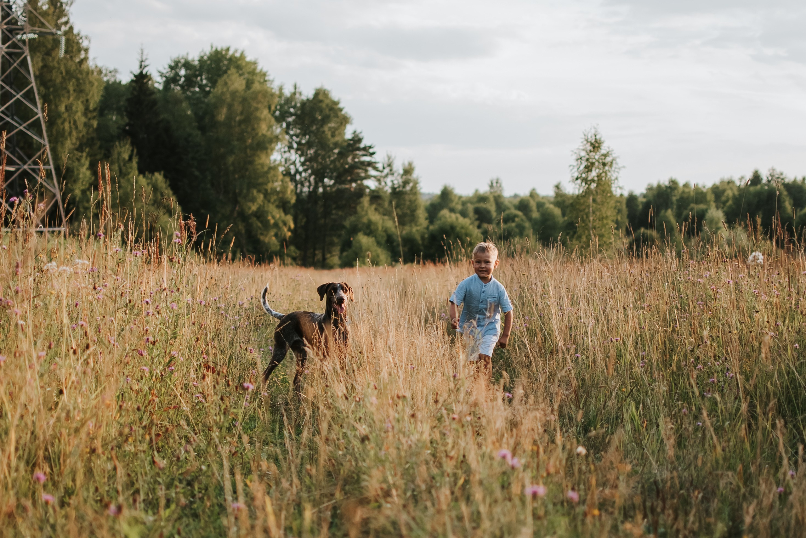 Витя и Кофи. Фотограф-анималист Валерия, Москва, Мытищи