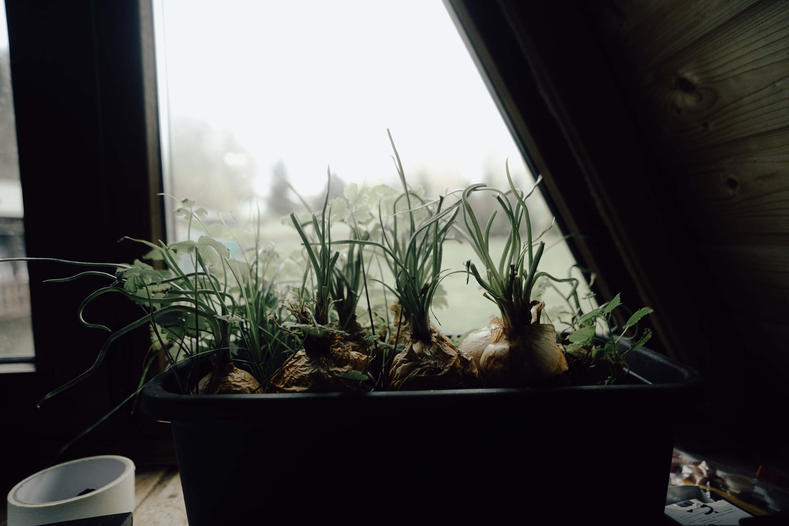 «52 герца». Фотограф Аннё| Москва