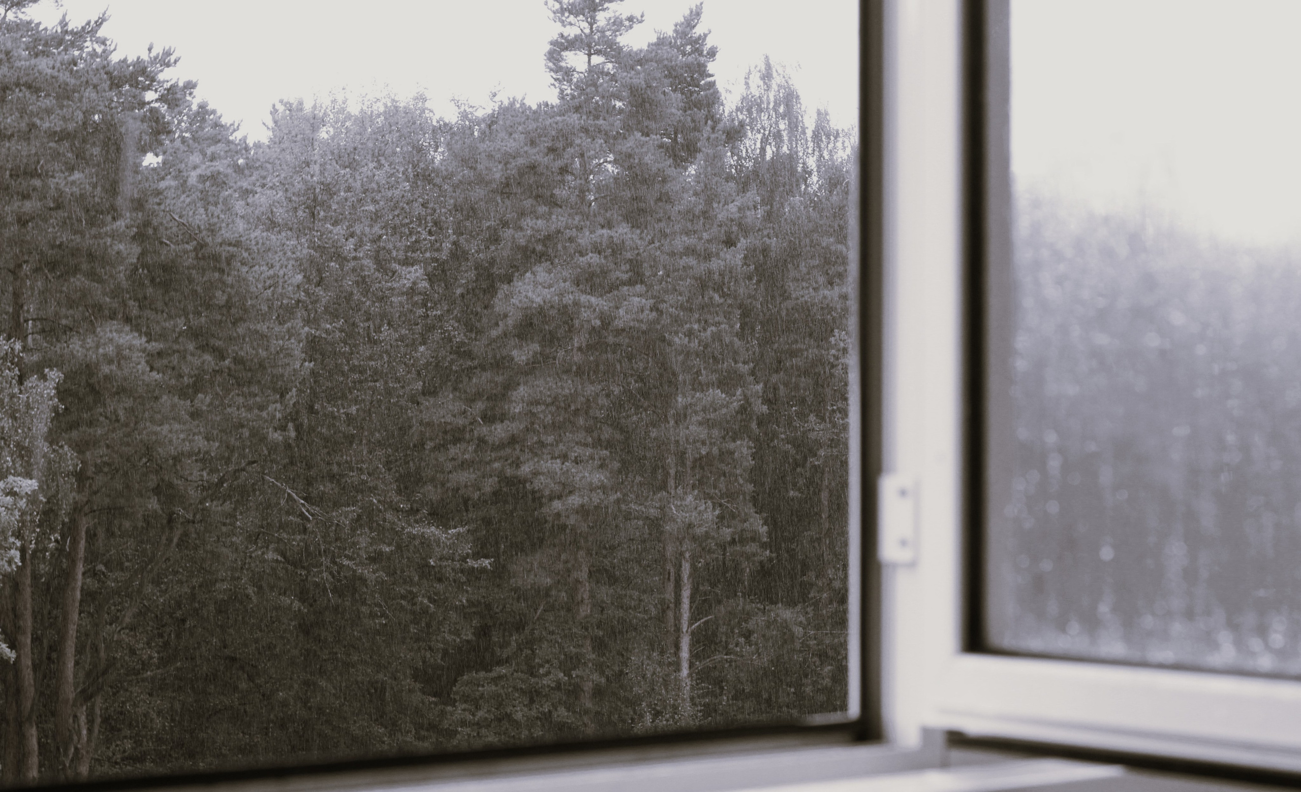 Всё, что я вижу вокруг себя