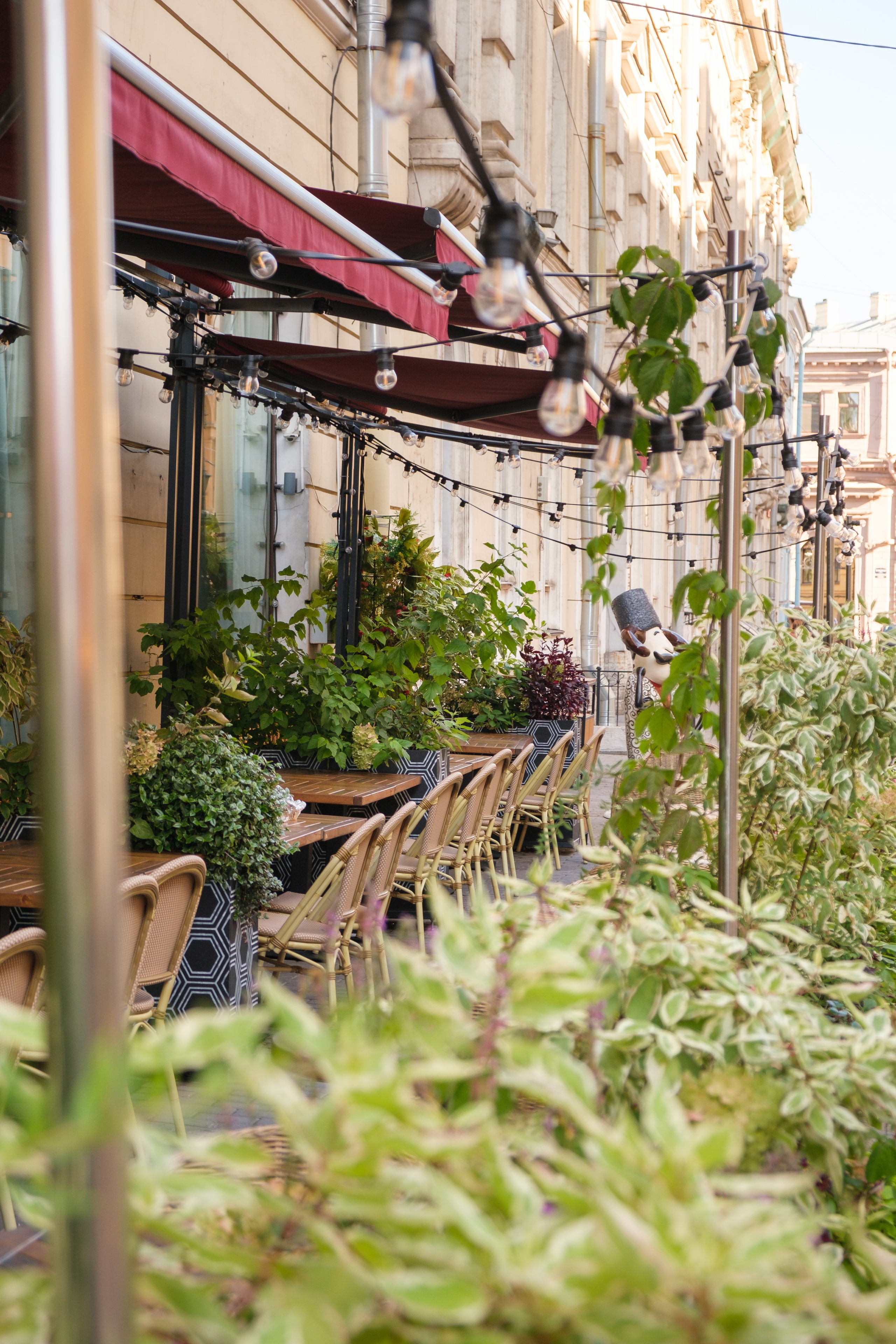 Озеленение