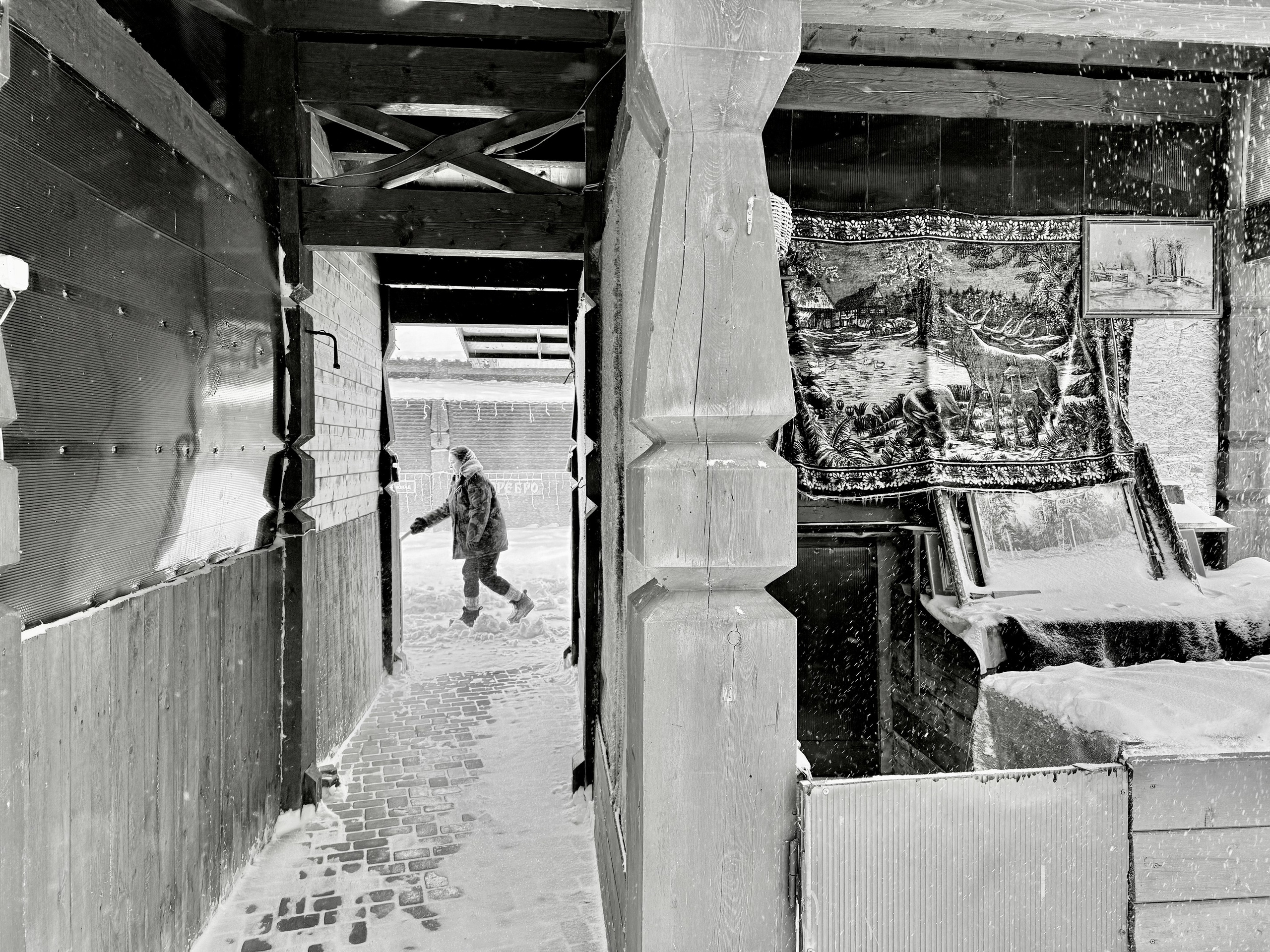 Казань-Самара 31.01-09.02.26. Фотострелка