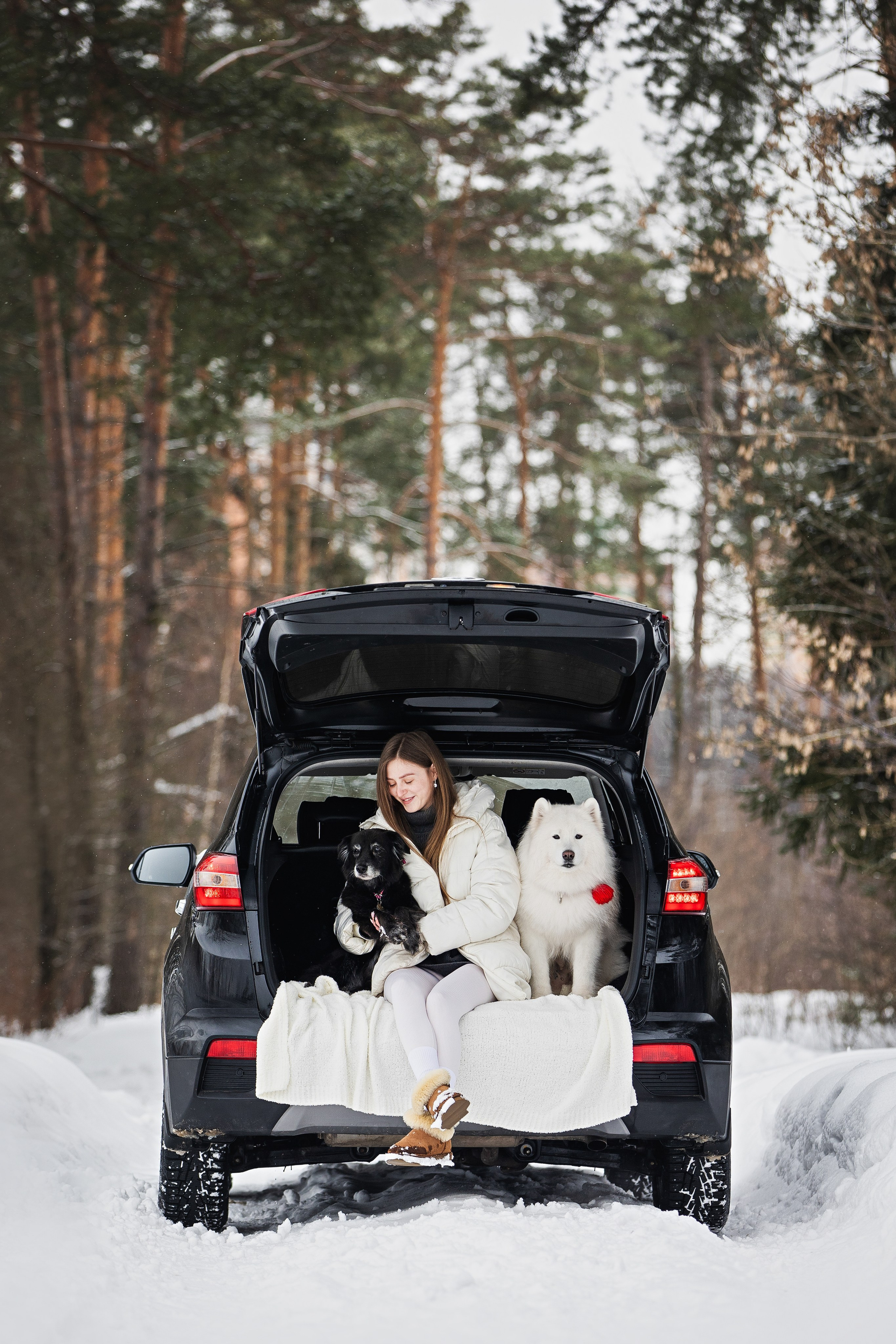 Валя, Варя и Лада. Фотограф анималист в Москве Майорова Евгения