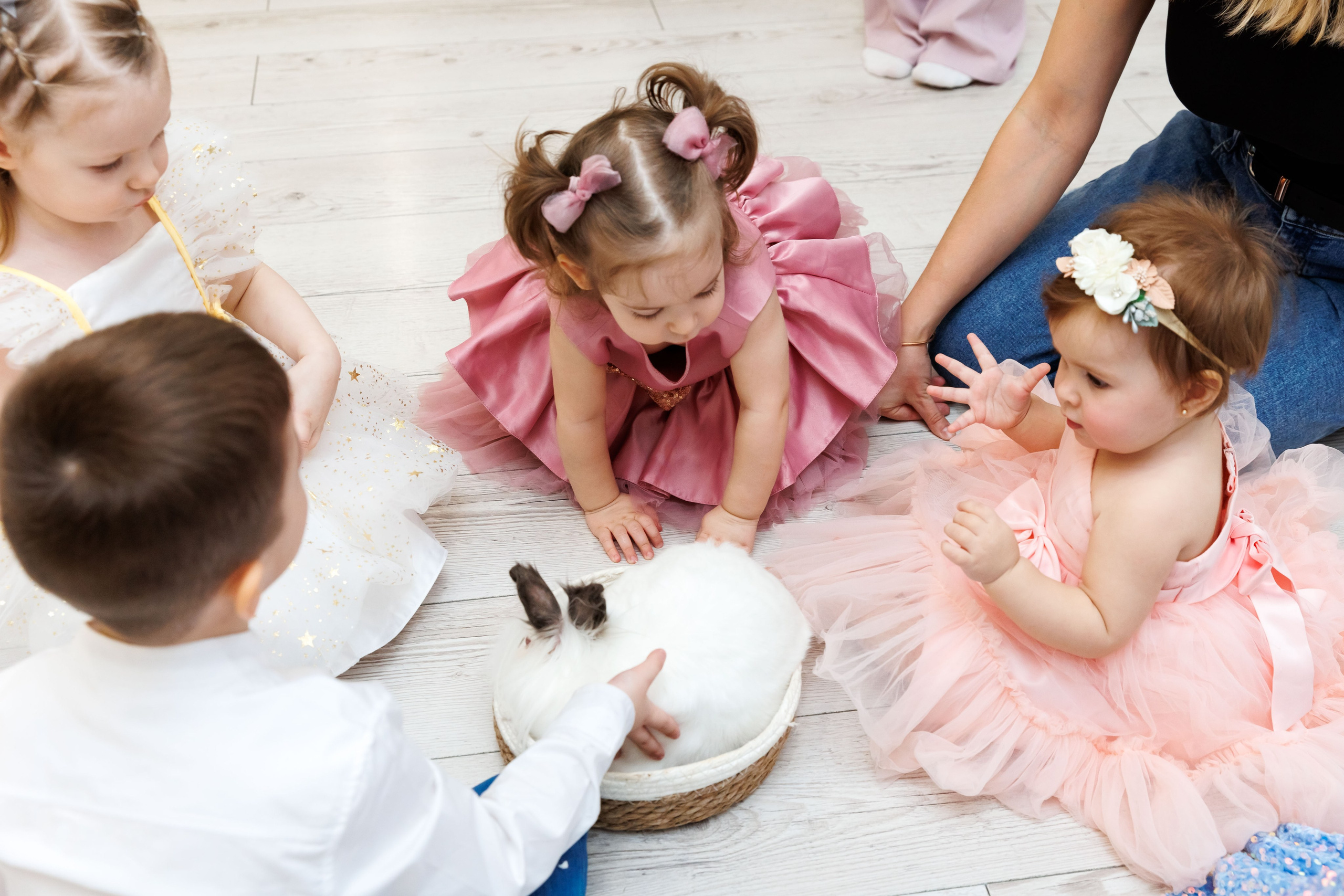 Клуб семейных развлечений Гости. Фотограф Новосибирск — Наталья Гресь