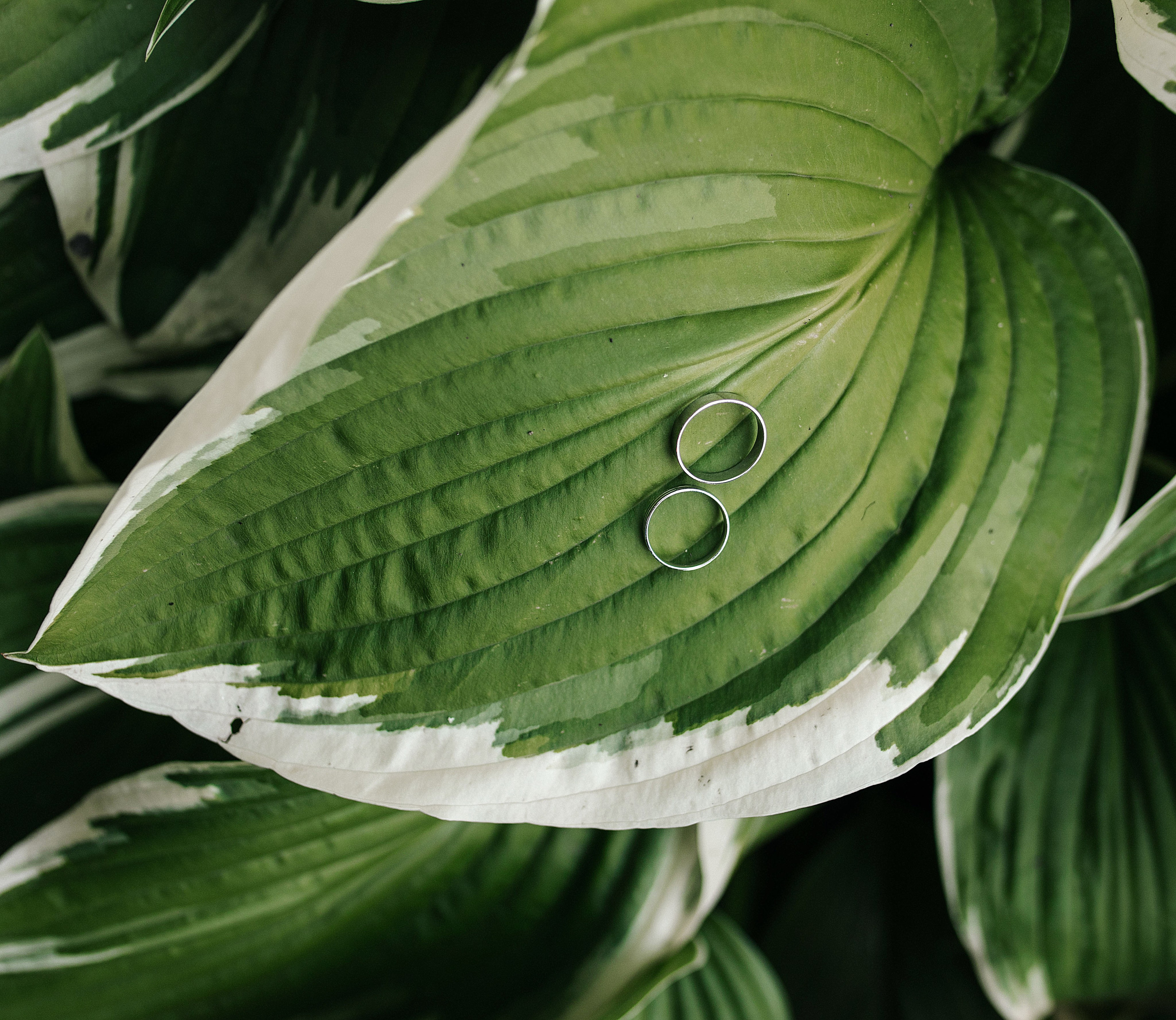 Е&E. Фотограф Пенза/Сердобск