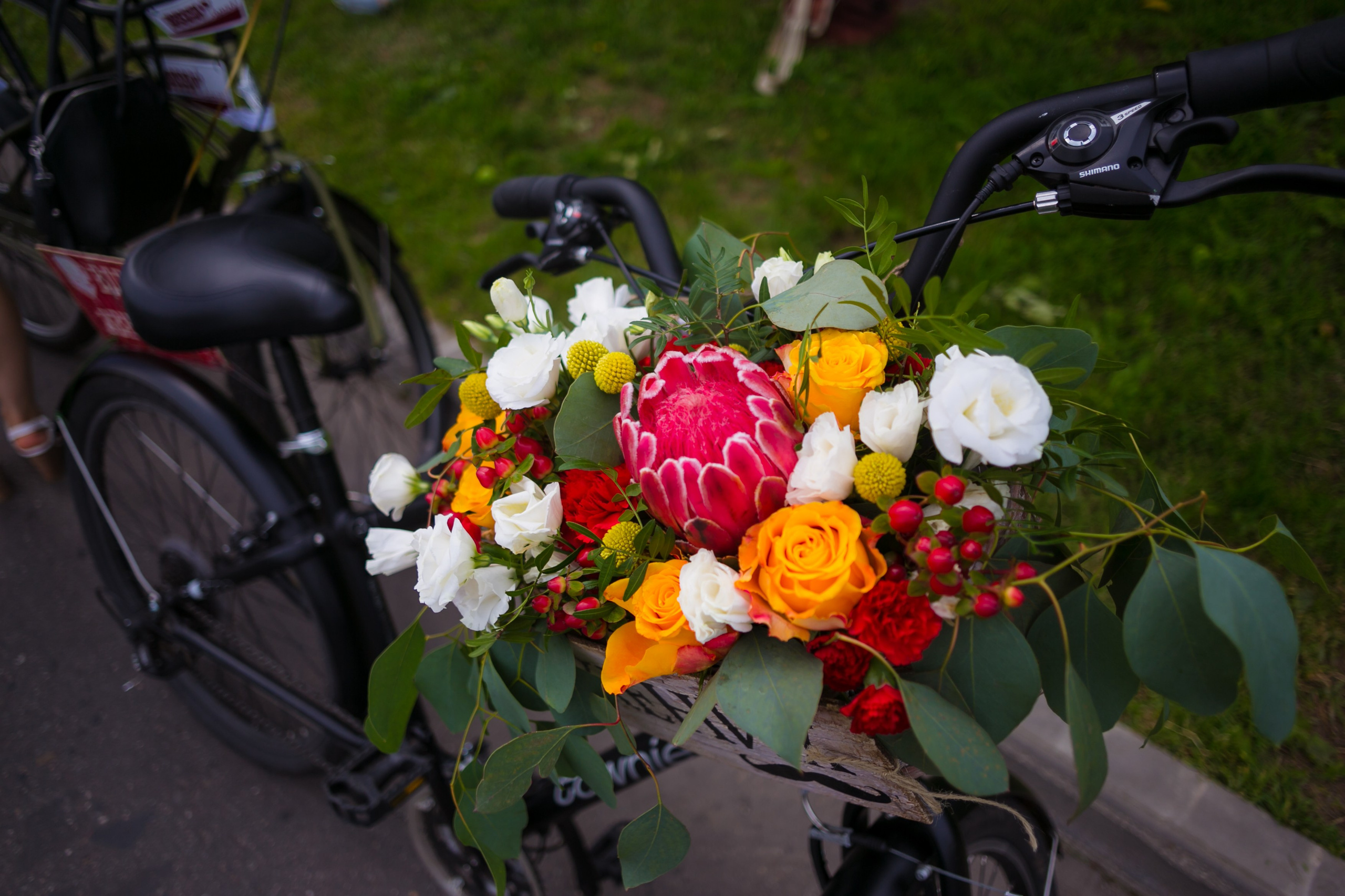 Сергей и Мария. Семейный и репортажной фотограф в Красноярске и Москве Виктор Бабинцев