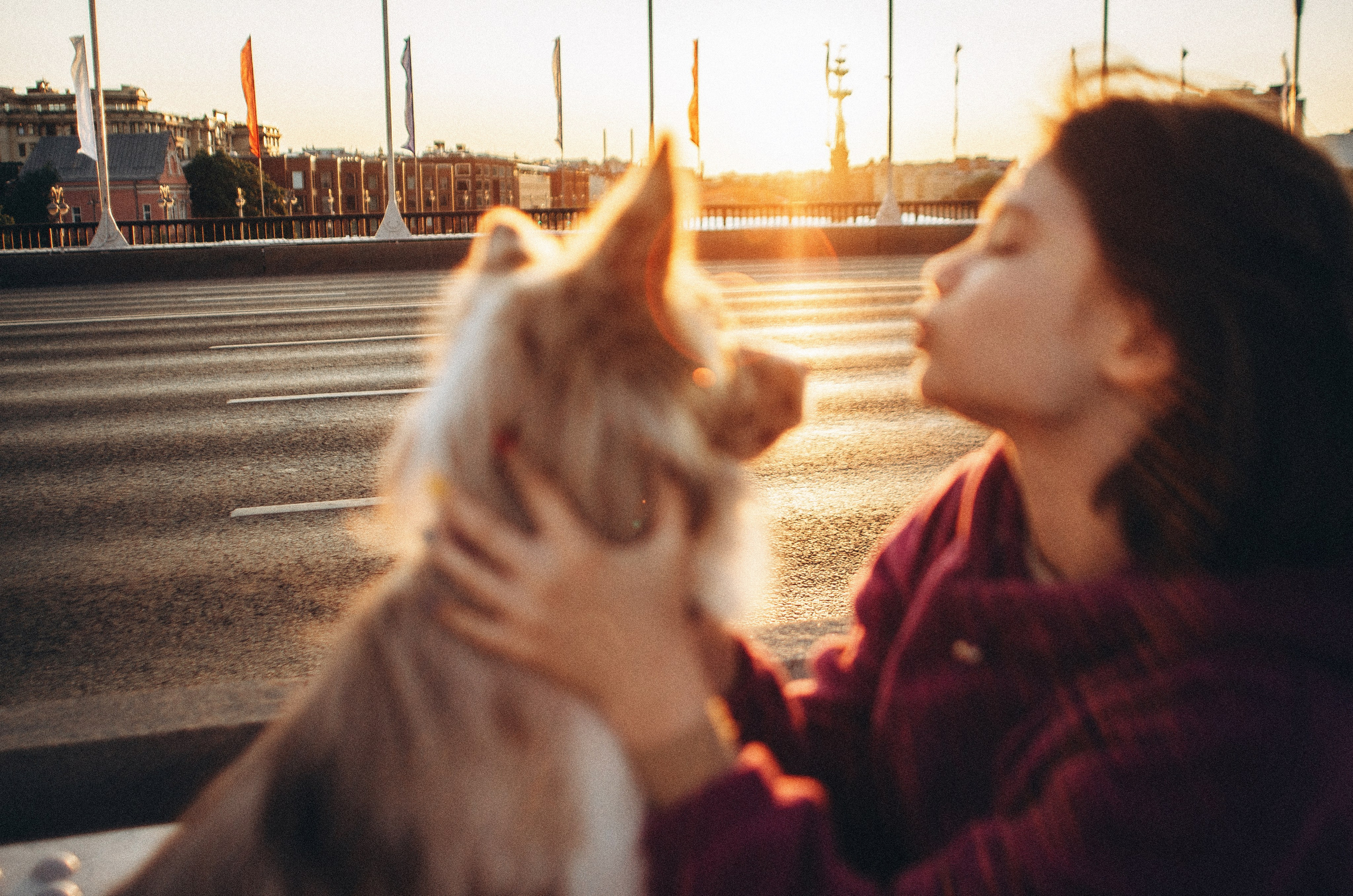 Аня и Дэймон. Фотограф-анималист Богданова Полина