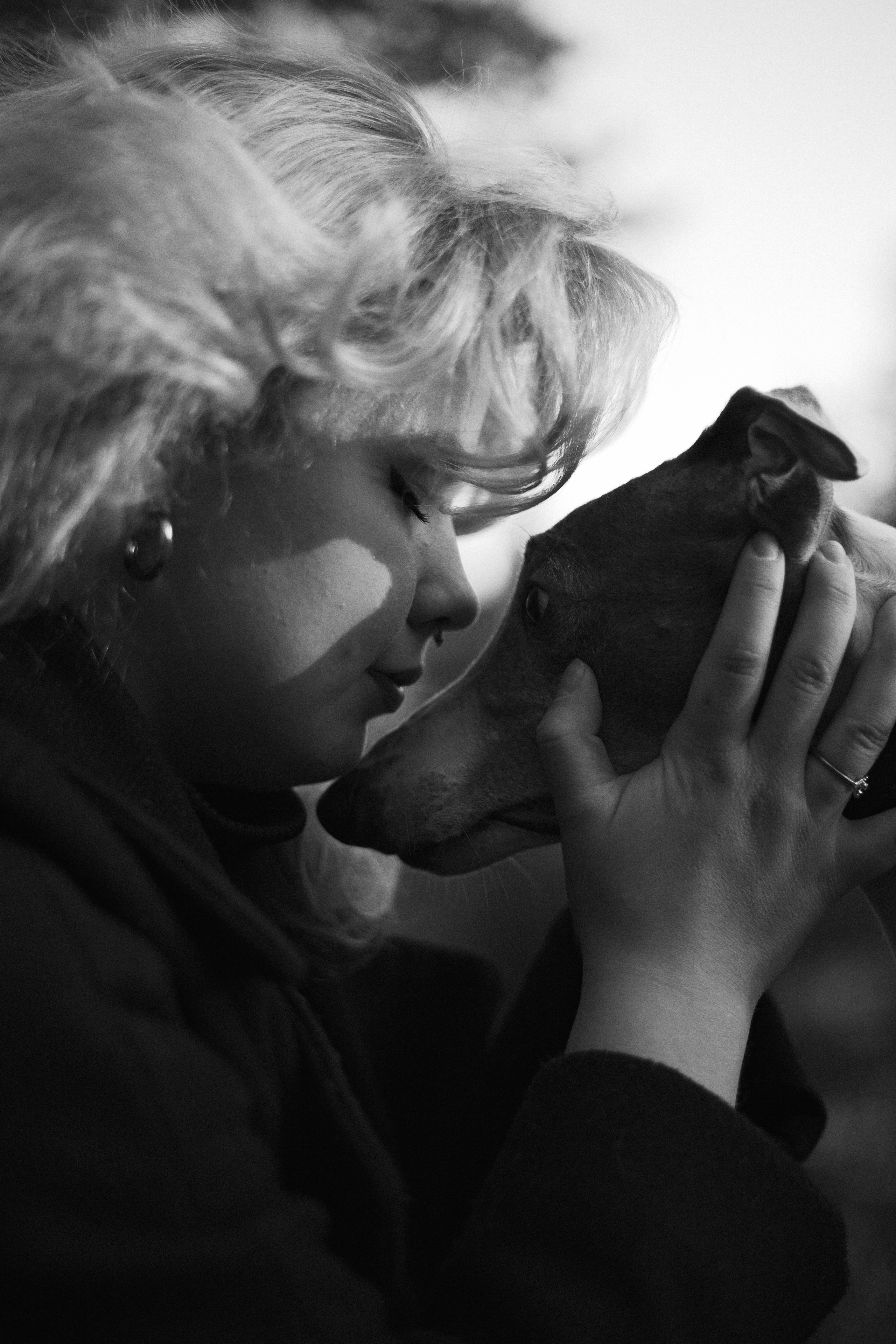 Вика, Джем и Белла. Фотограф-анималист Богданова Полина