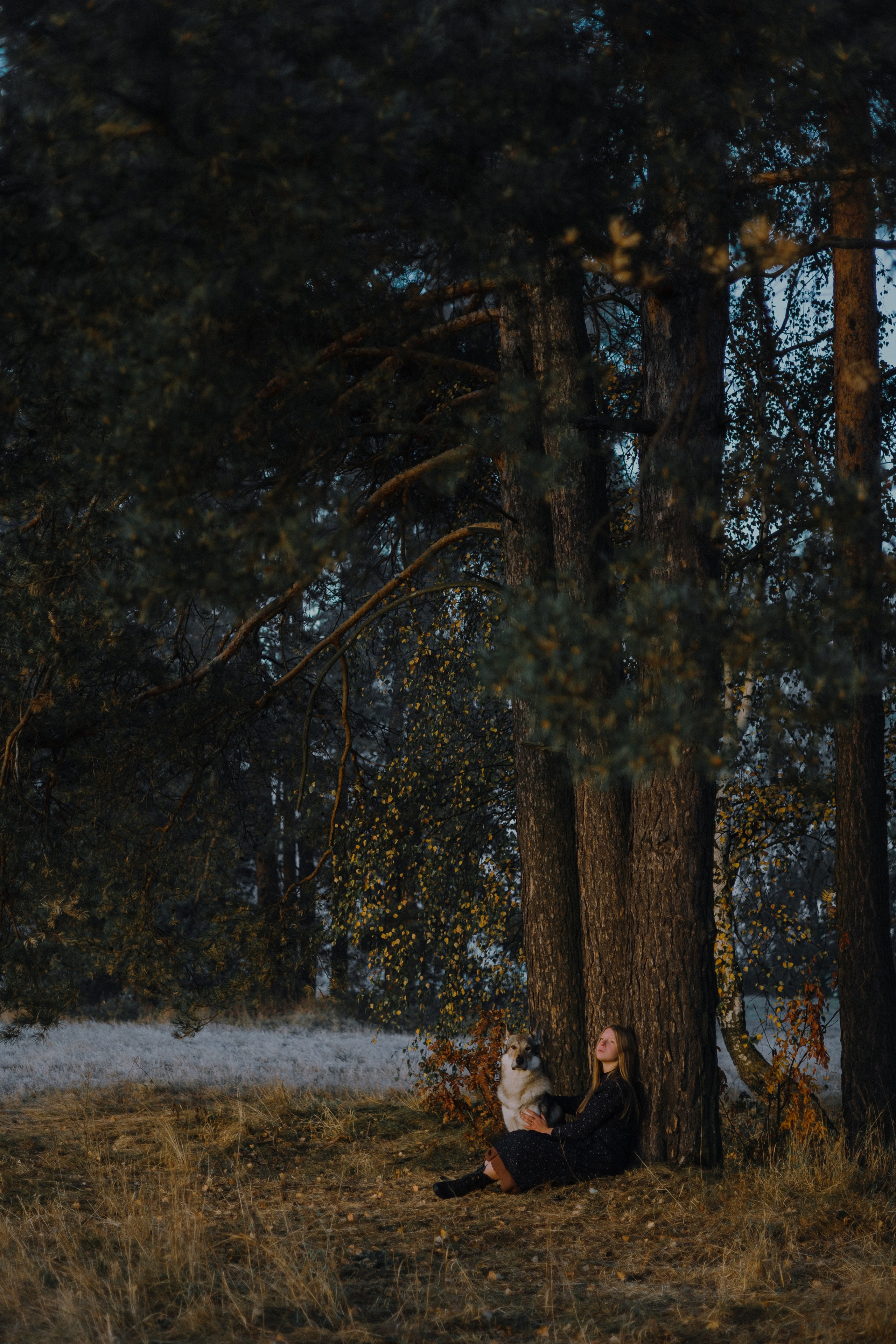 Полина и Вегард. Фотограф-анималист Богданова Полина