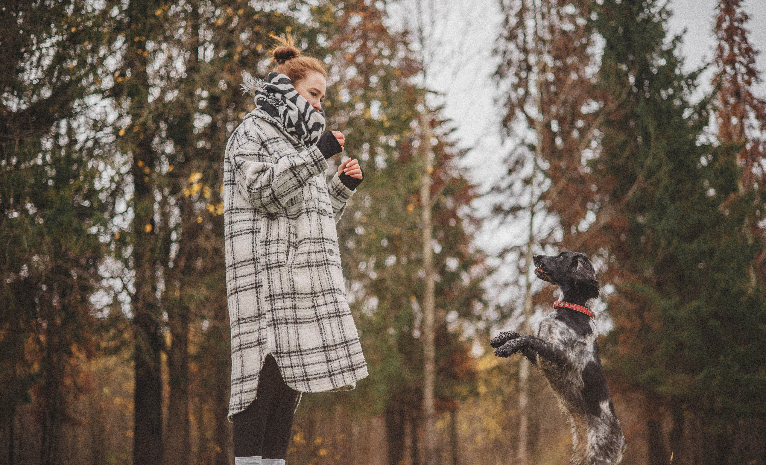 Вика и Ава. Фотограф-анималист Богданова Полина