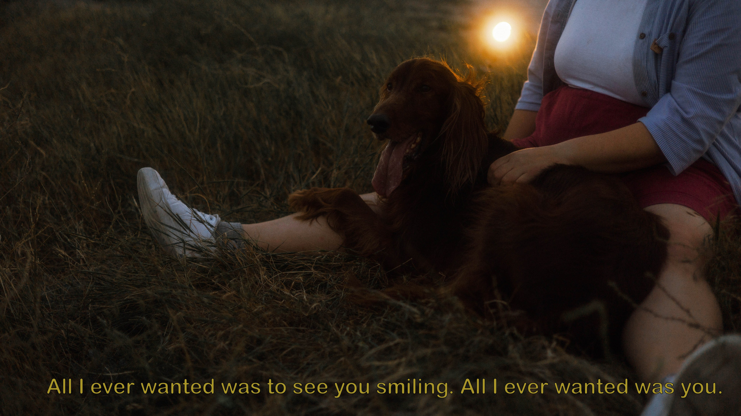 Ольга и Шеймас. Фотограф-анималист Богданова Полина