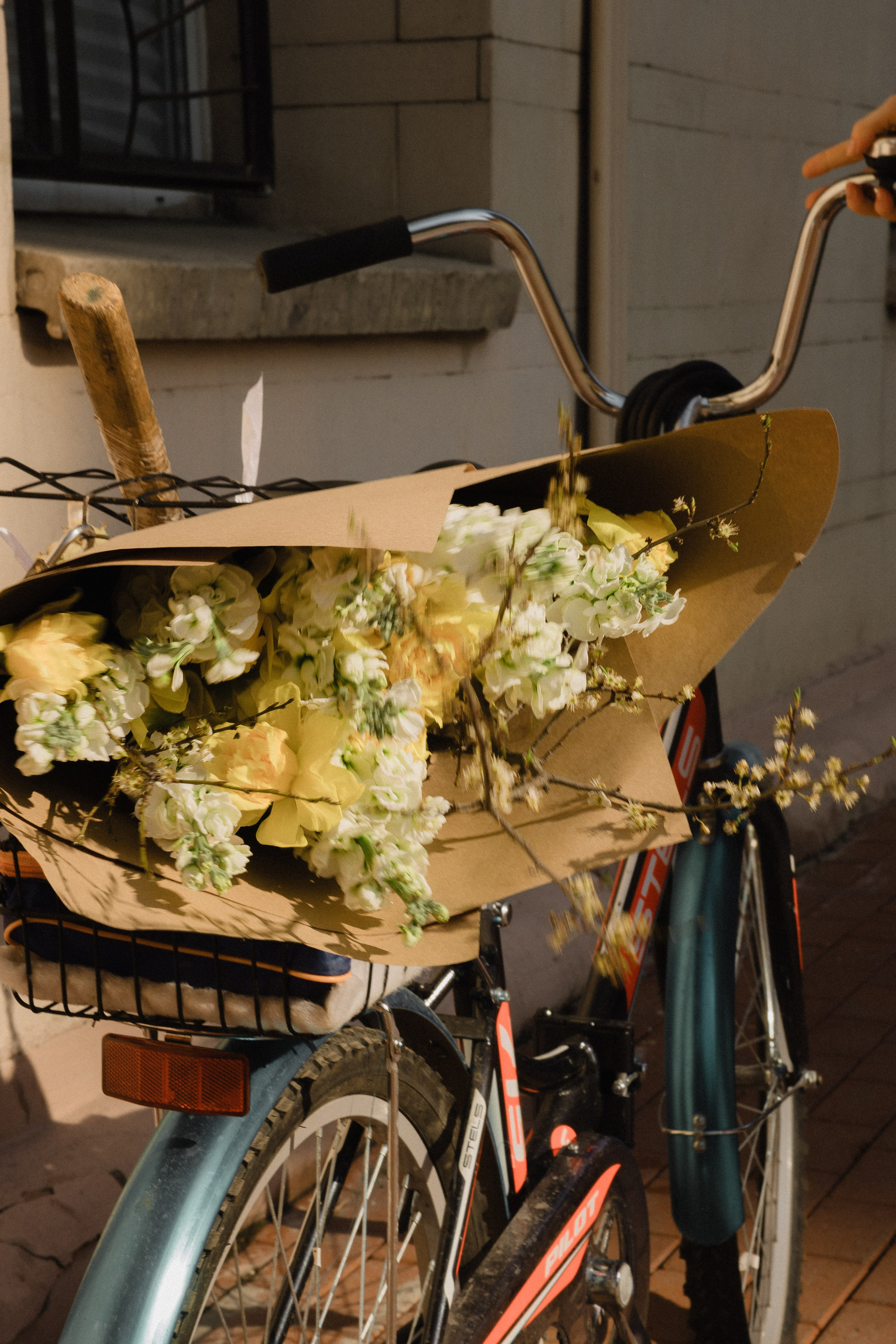 Жёлтые нарциссы. Фотограф-ретушер