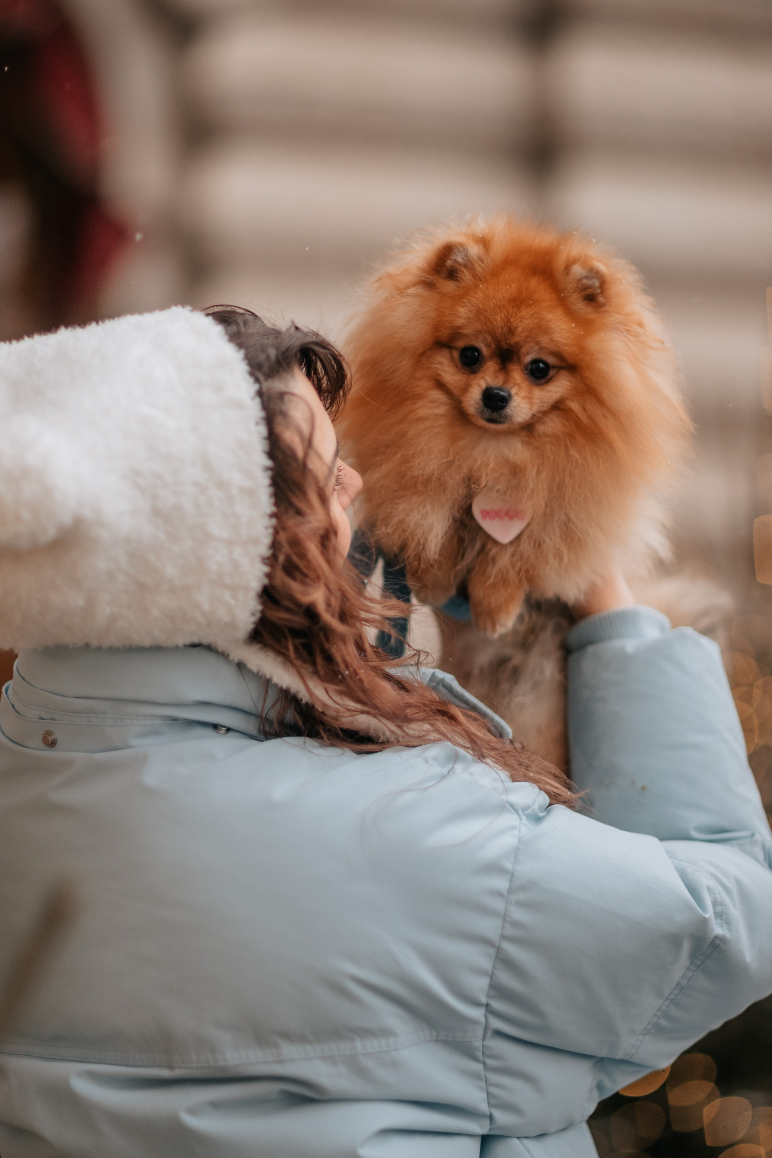 Тоффи и семья на новогодней ярмарке. Семейный фотограф анималист Мария Крючкова