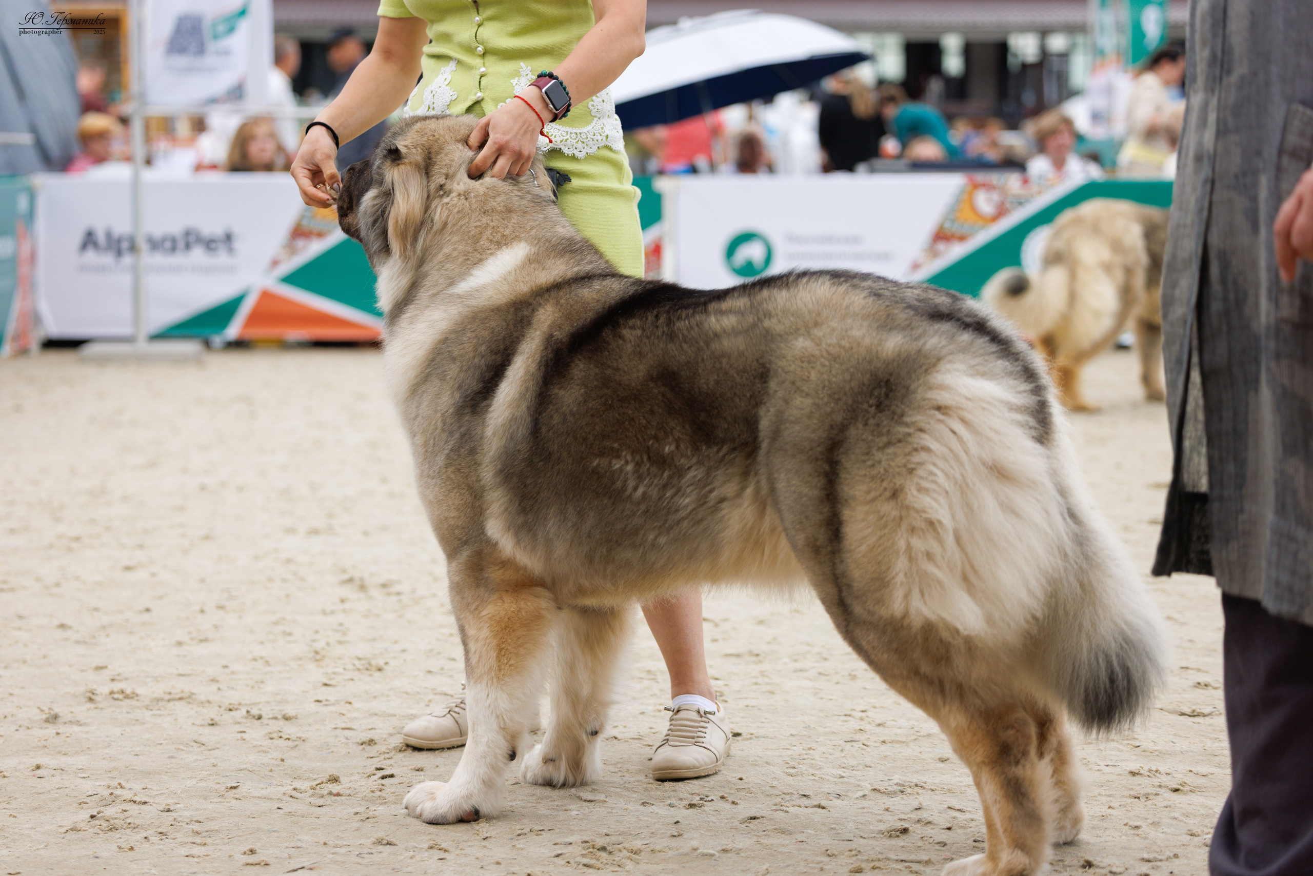 РОССИЯ 7-8.06.2025. Фотограф-анималист Юлия Германика