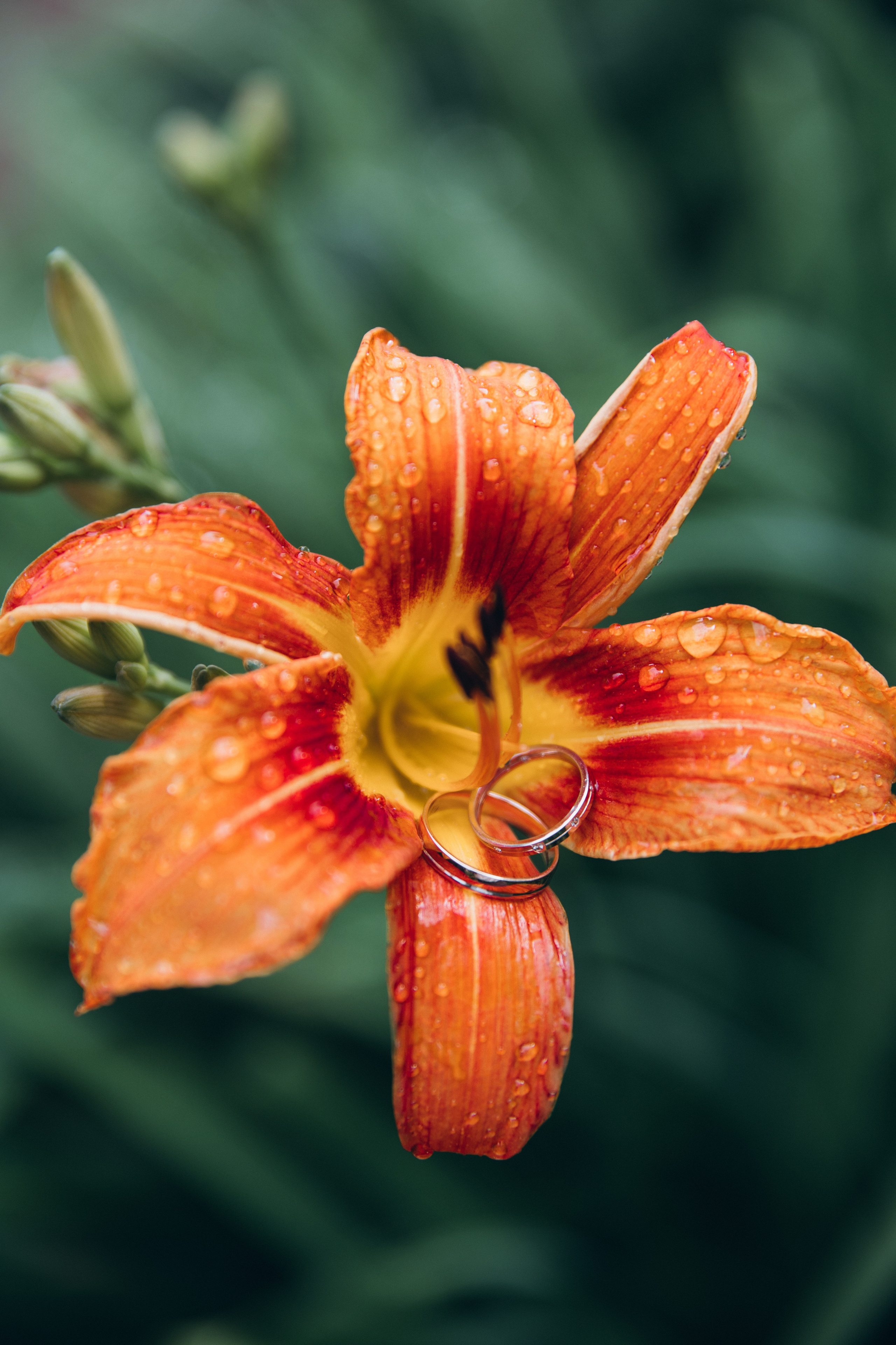 N I K I T A & A N A S T A S I A. Свадебный фотограф в Санкт-Петербурге Илья Михеев