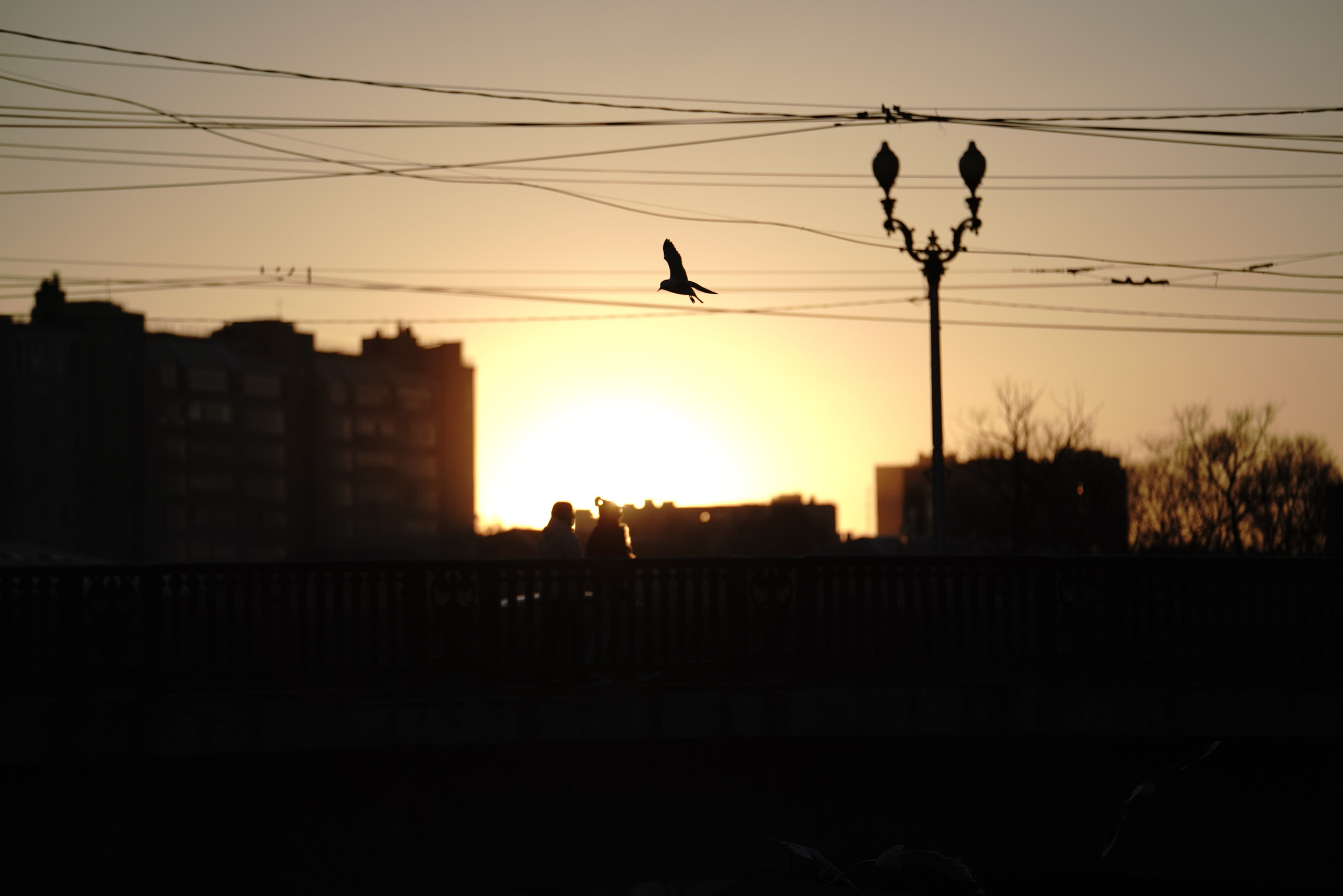 Иваново, Март–Апрель 2022