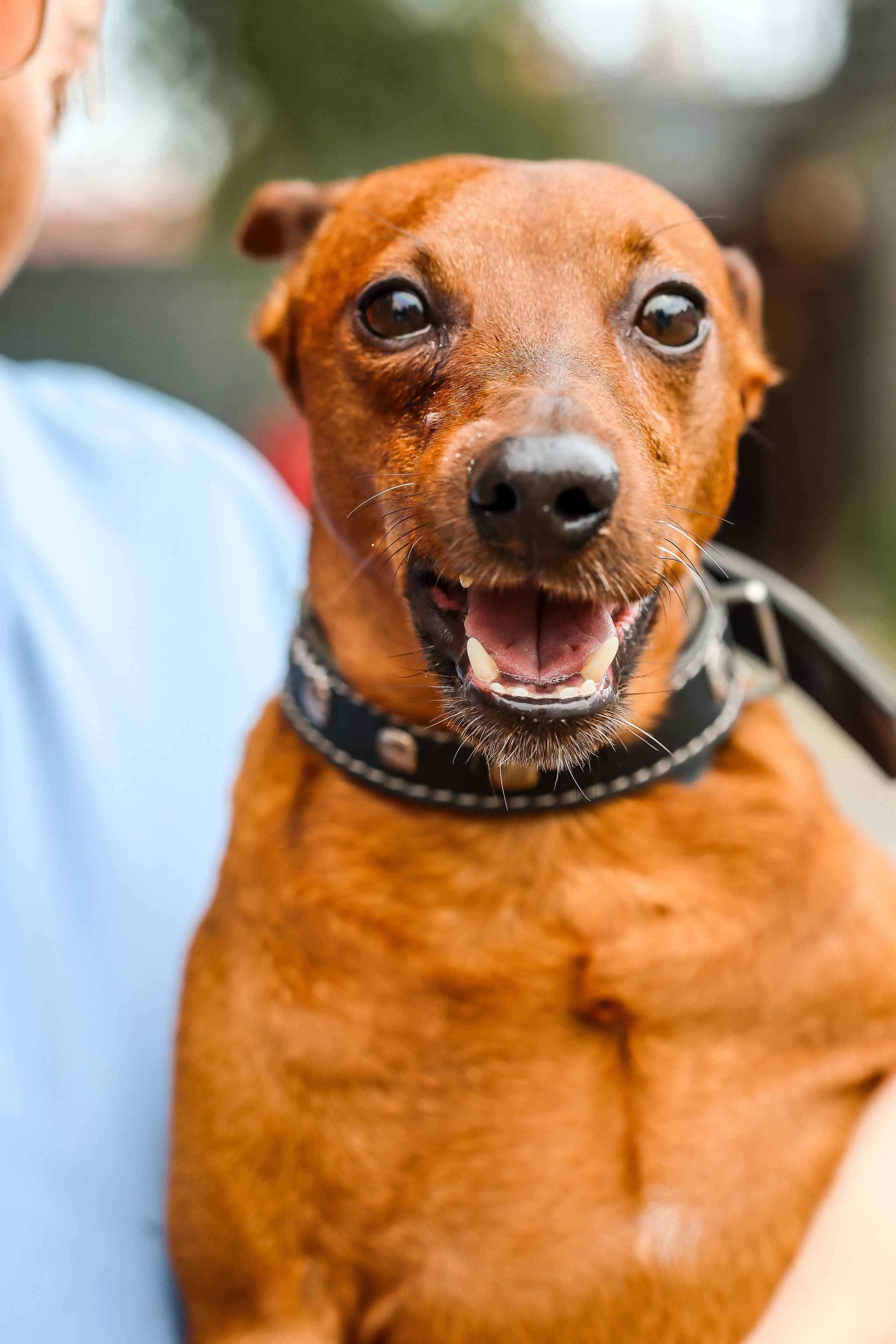 О т з ы в ы. ФОТОГРАФ ЕКАТЕРИНБУРГ