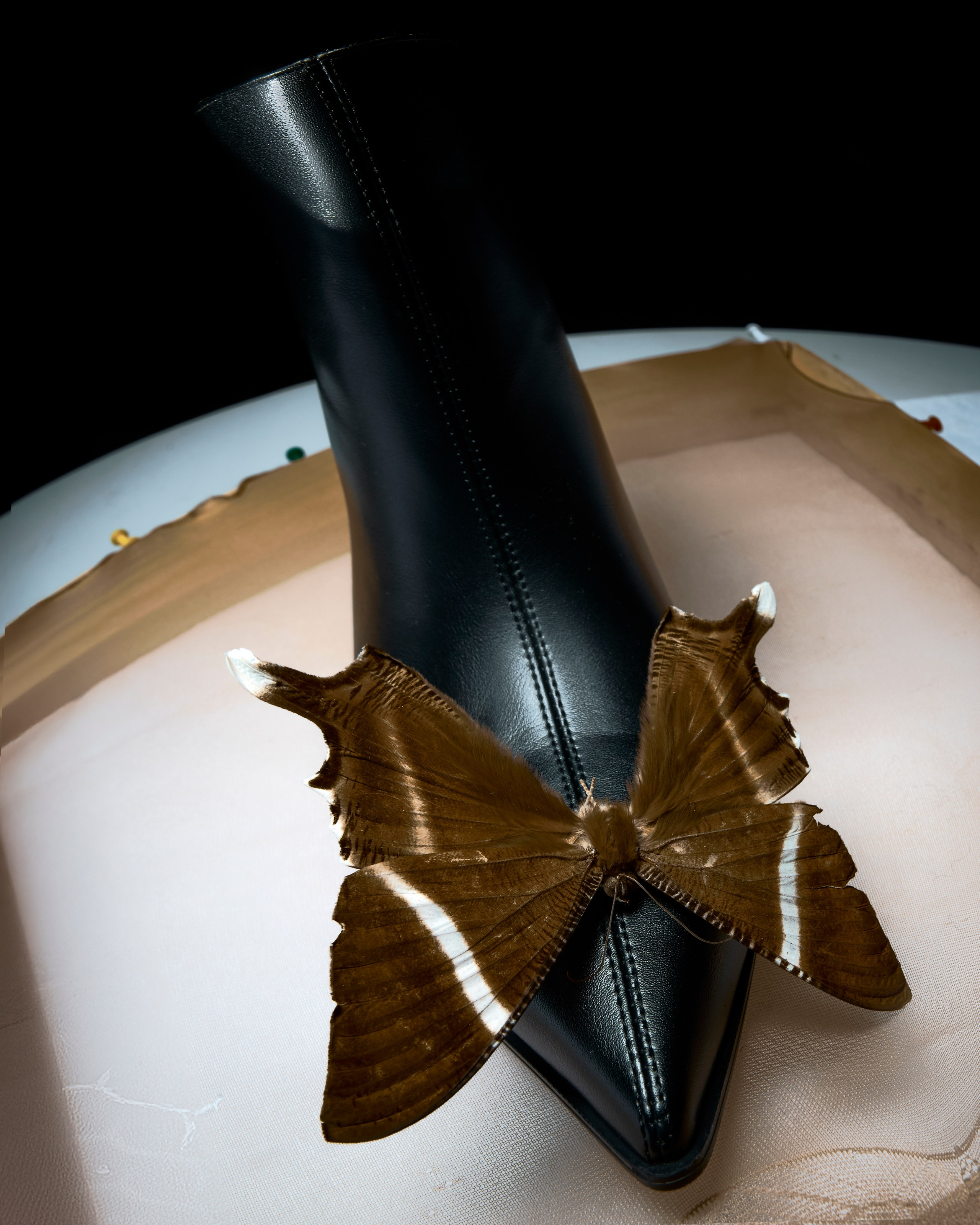 Still life Projects. Фотограф Елена Вороха. Москва