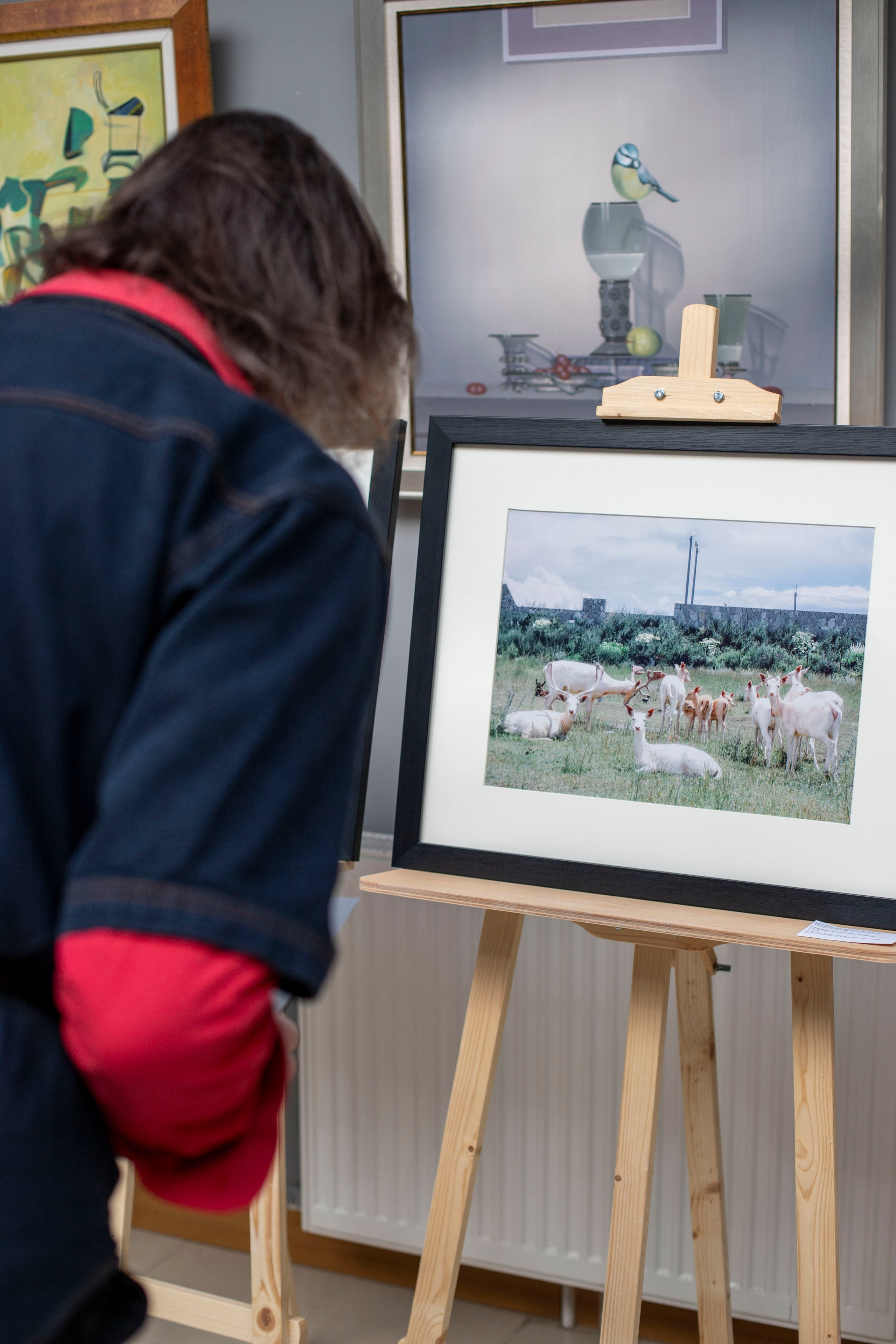 Выставка в г. Дилижан, Армения. Фоторепортаж А.Бабышевой. Арт-фотограф Ксения Якутович