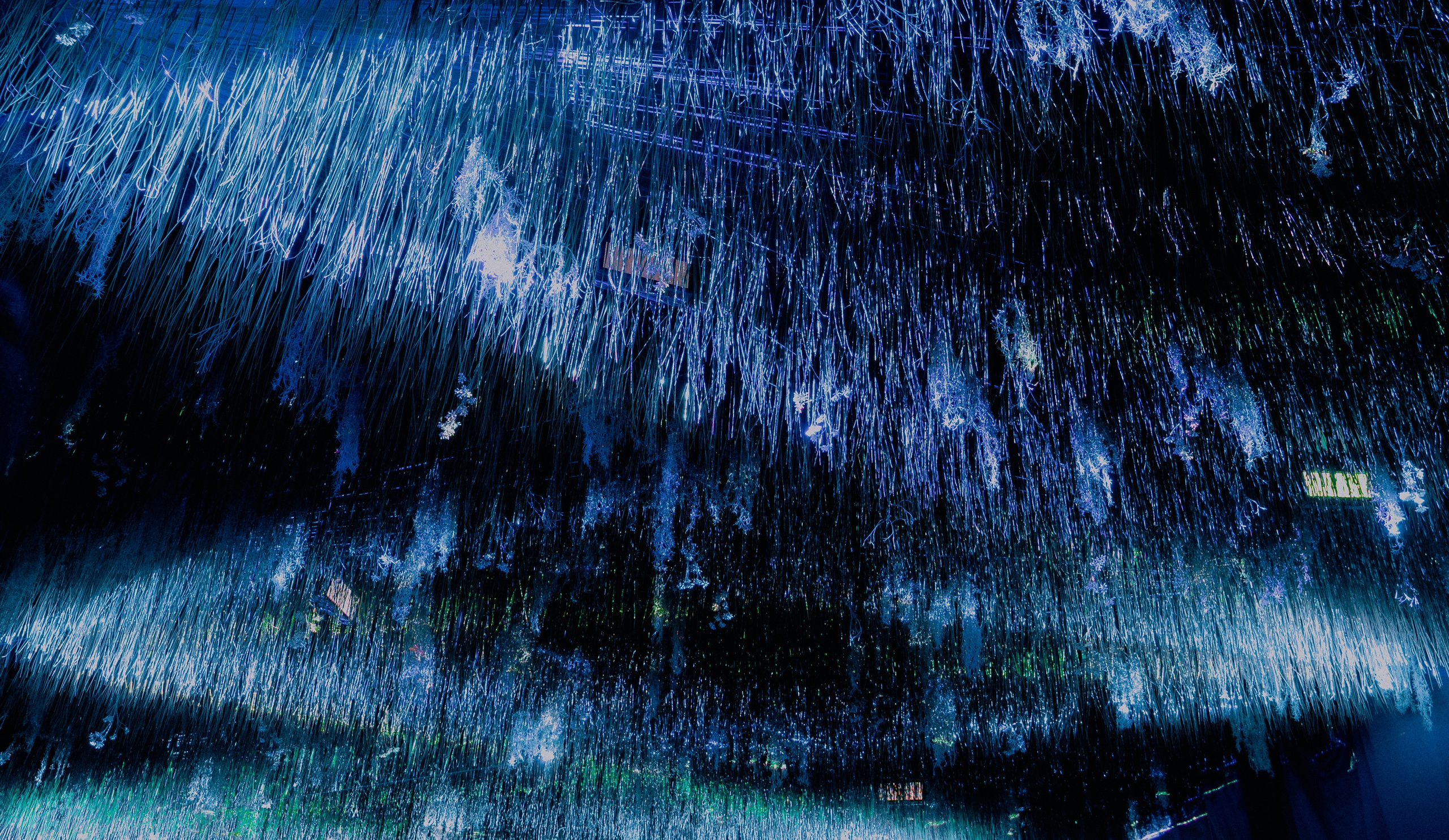 НУР. Фестиваль медиаискусства / 2024. Саша Копылов, фотограф в Казани