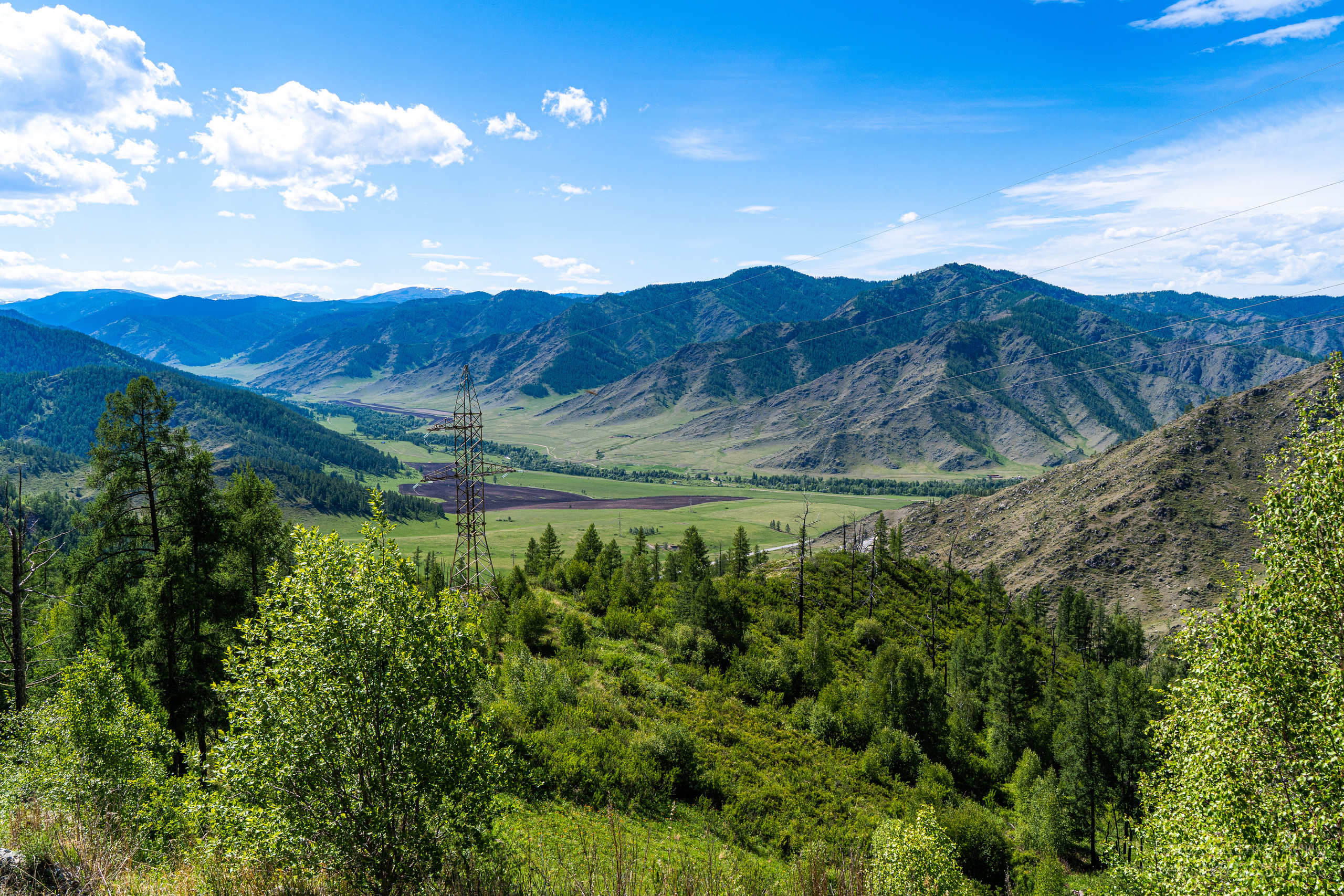 Алтайское нежное. Школьный фотограф в Кемерово Мелещенко Анна