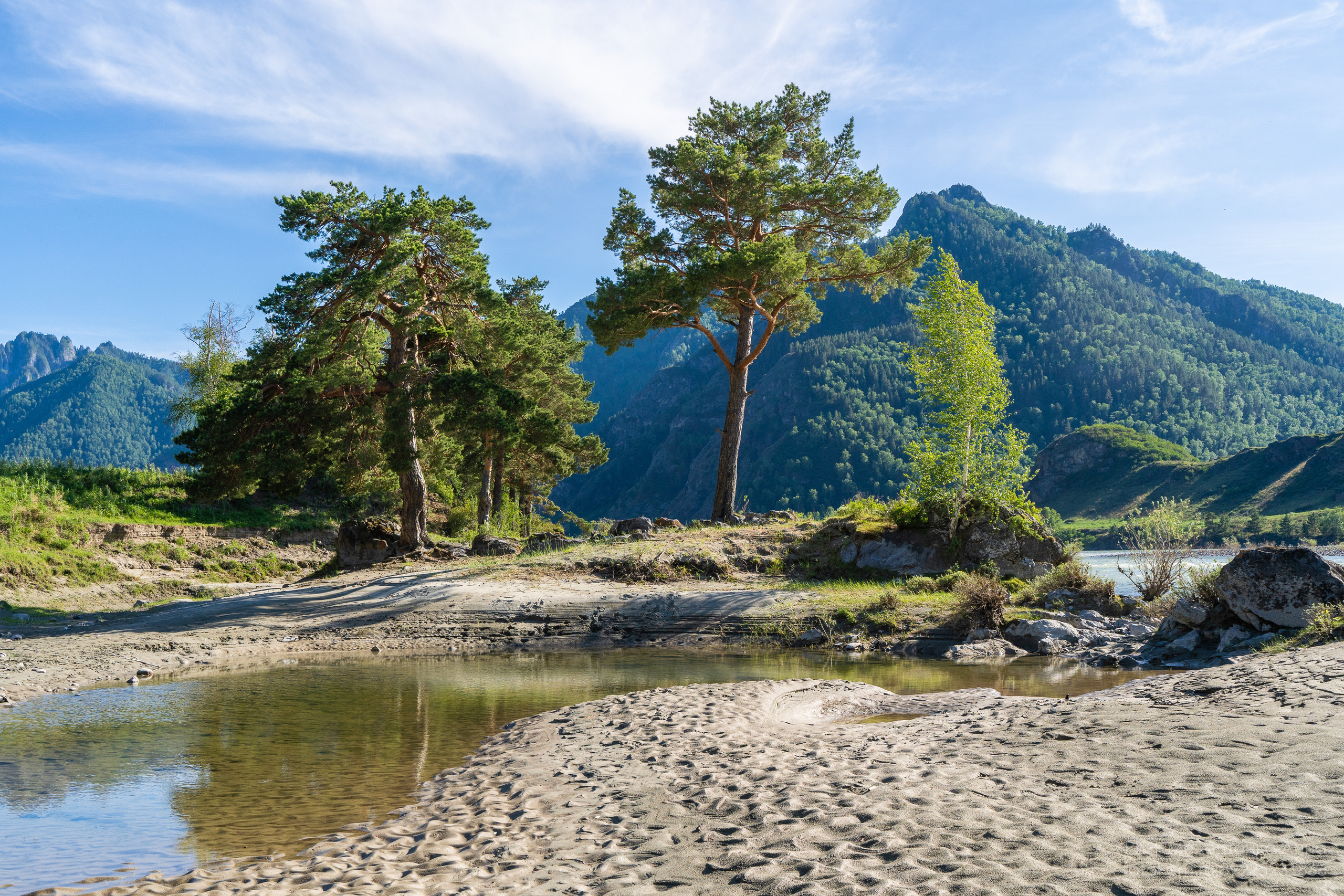 Алтайское нежное. Школьный фотограф в Кемерово Мелещенко Анна