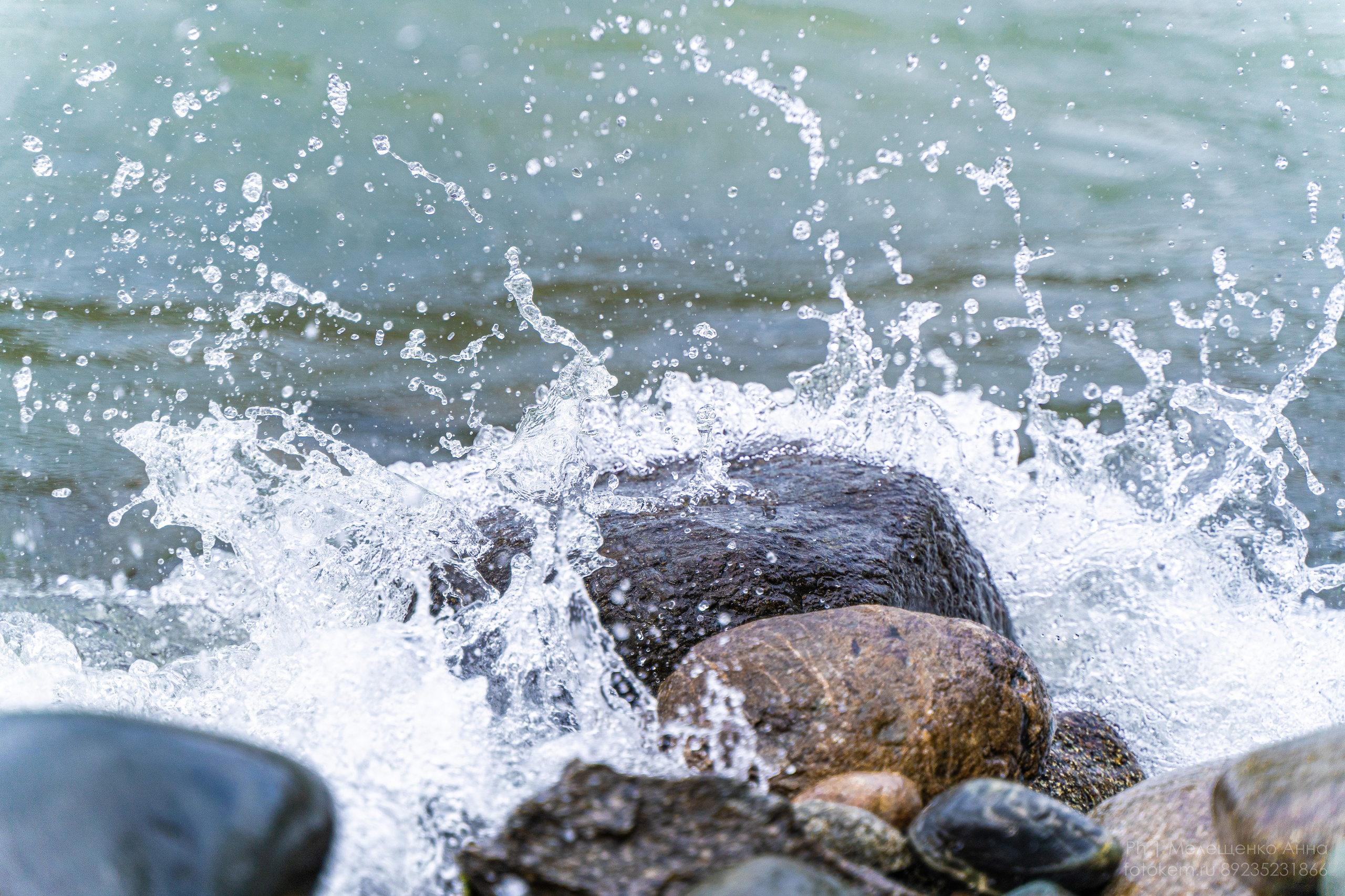 Алтайское нежное. Школьный фотограф в Кемерово Мелещенко Анна