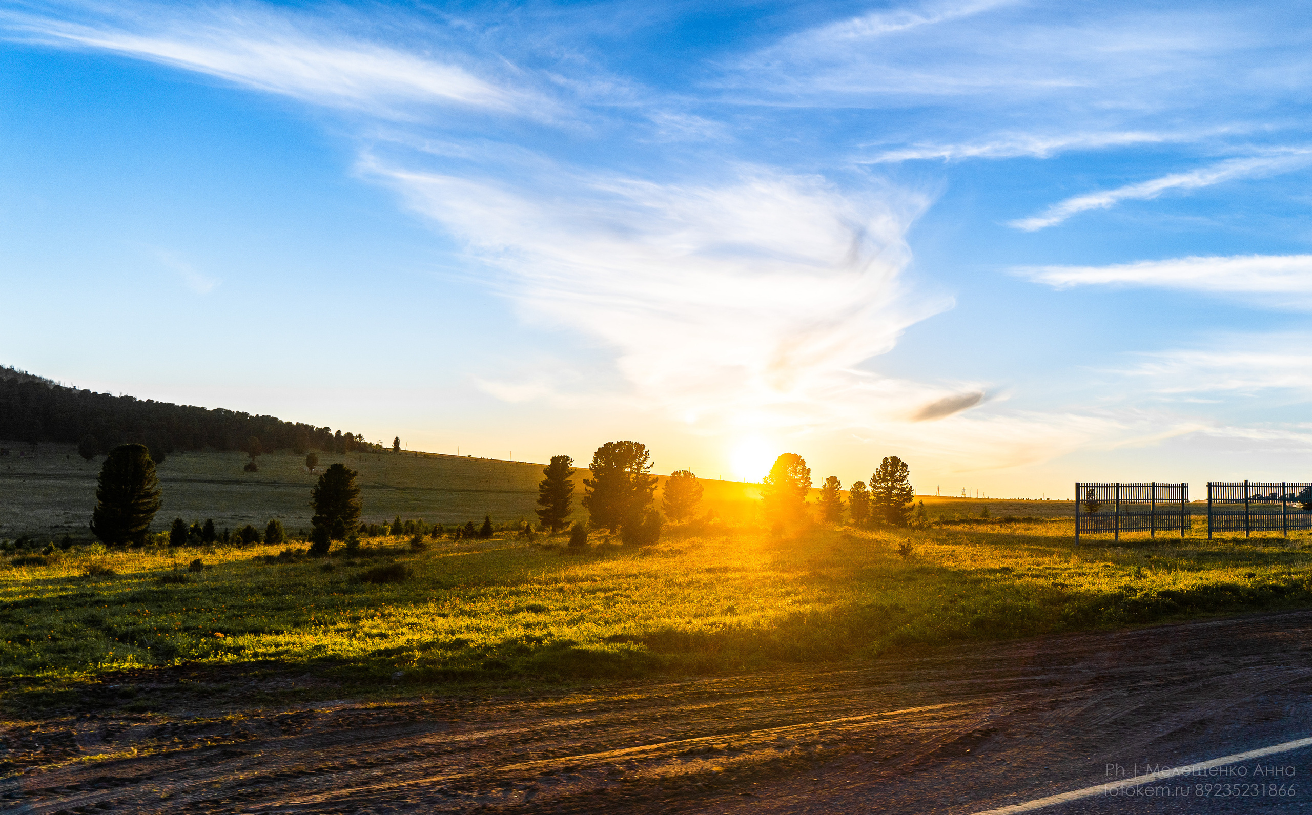 Алтайское нежное. Школьный фотограф в Кемерово Мелещенко Анна