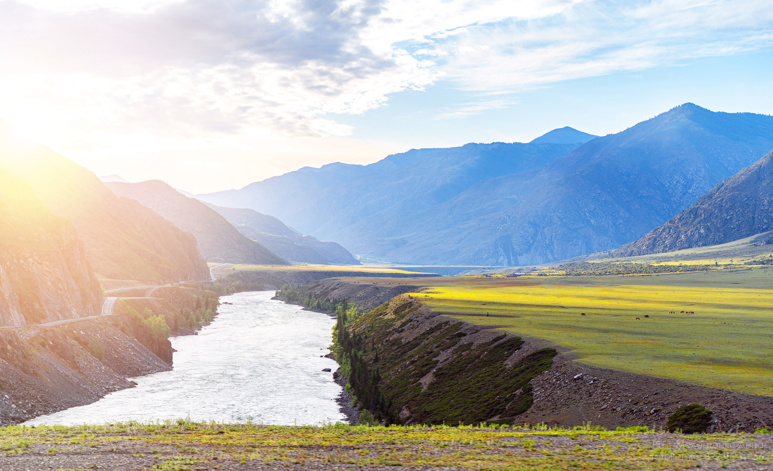 Алтайское нежное. Школьный фотограф в Кемерово Мелещенко Анна