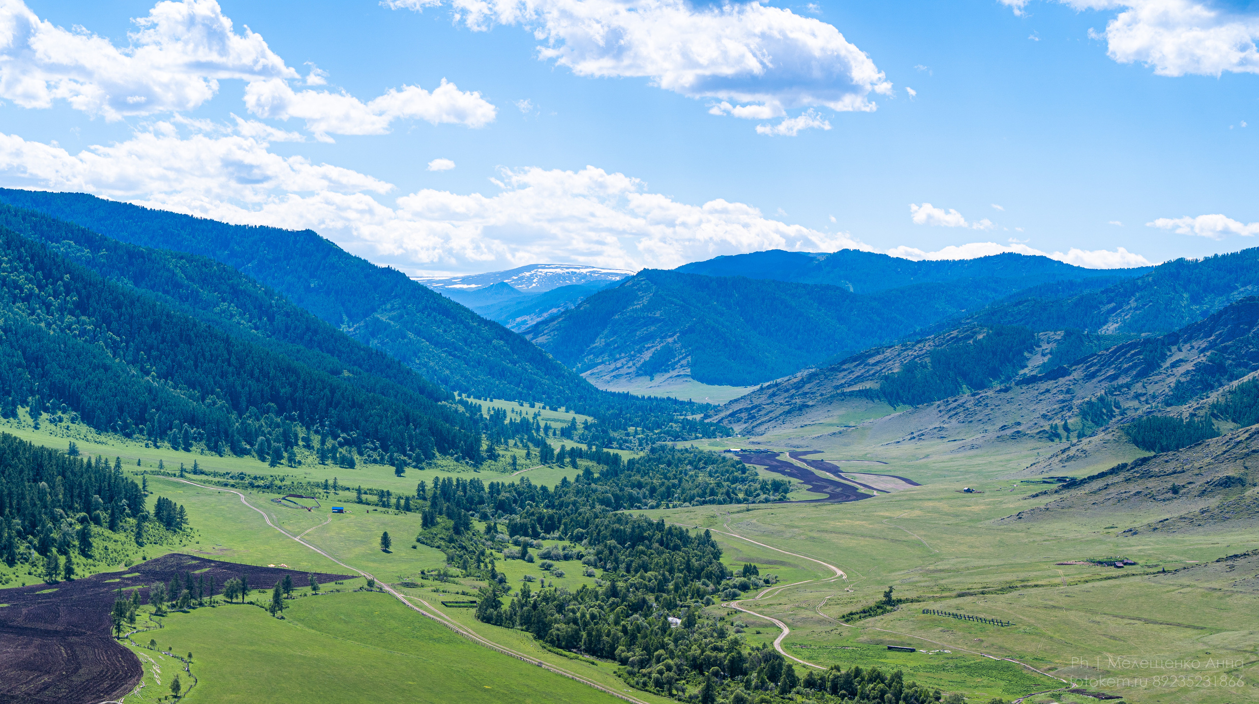Алтайское нежное. Школьный фотограф в Кемерово Мелещенко Анна