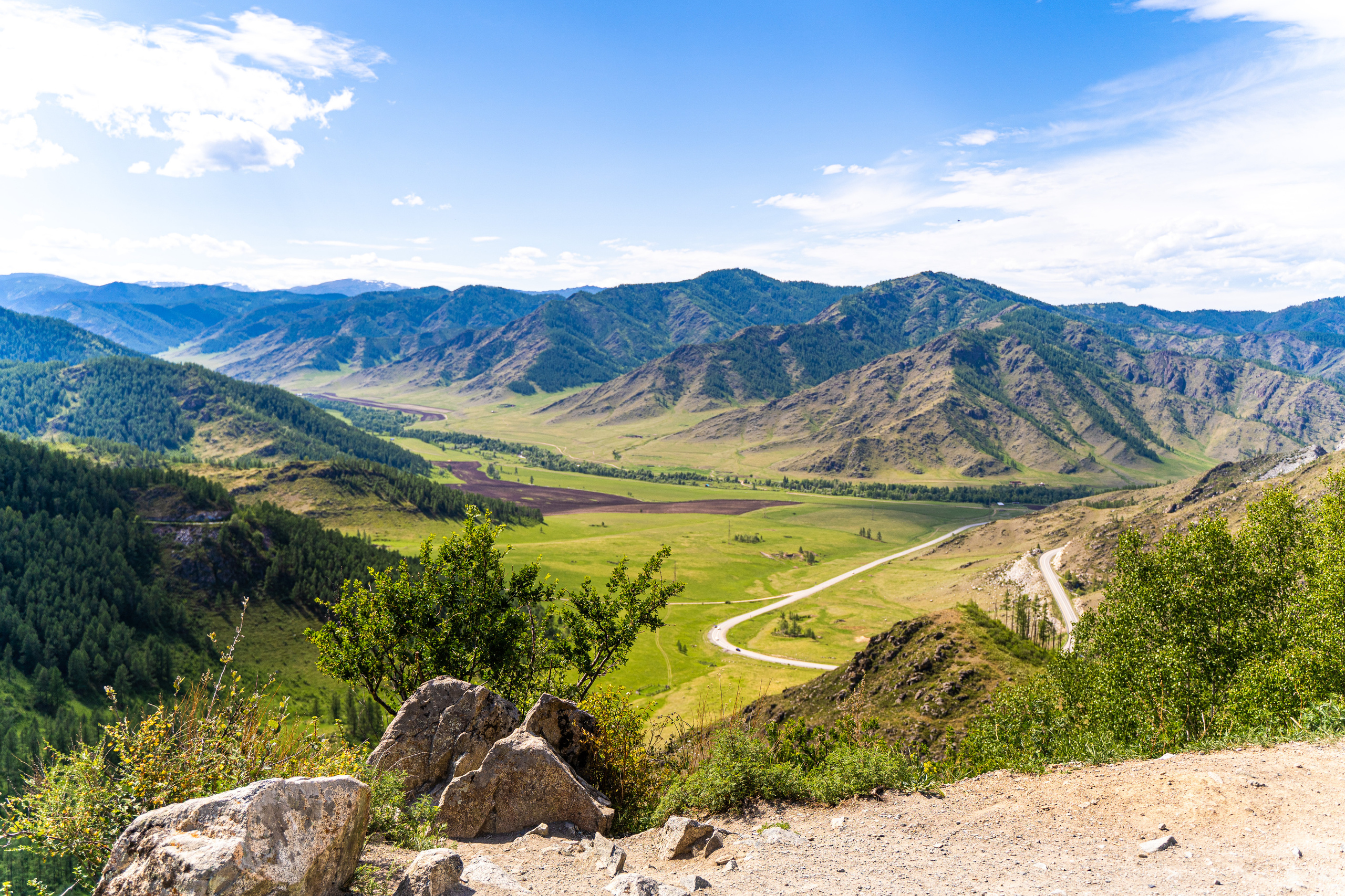 Алтайское нежное. Школьный фотограф в Кемерово Мелещенко Анна
