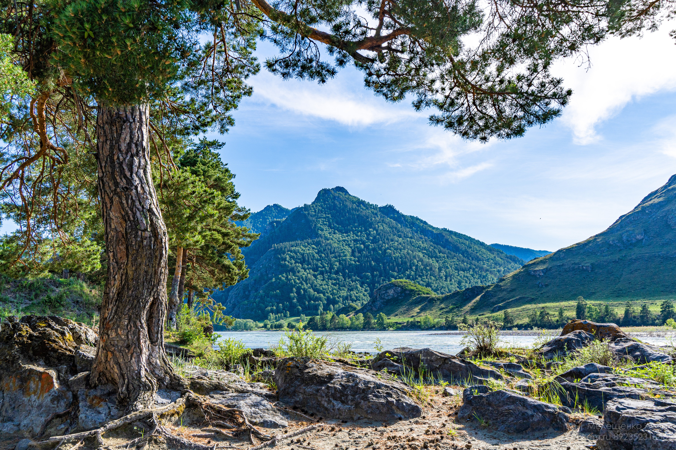 Алтайское нежное. Школьный фотограф в Кемерово Мелещенко Анна