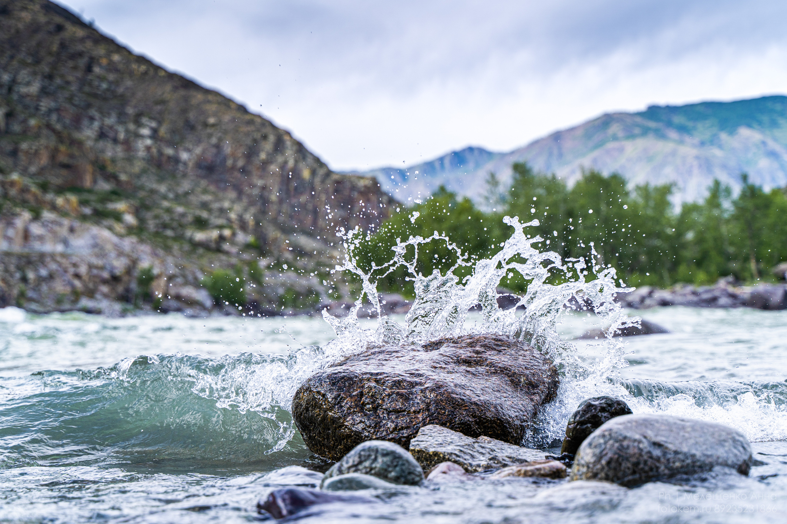 Алтайское нежное. Школьный фотограф в Кемерово Мелещенко Анна