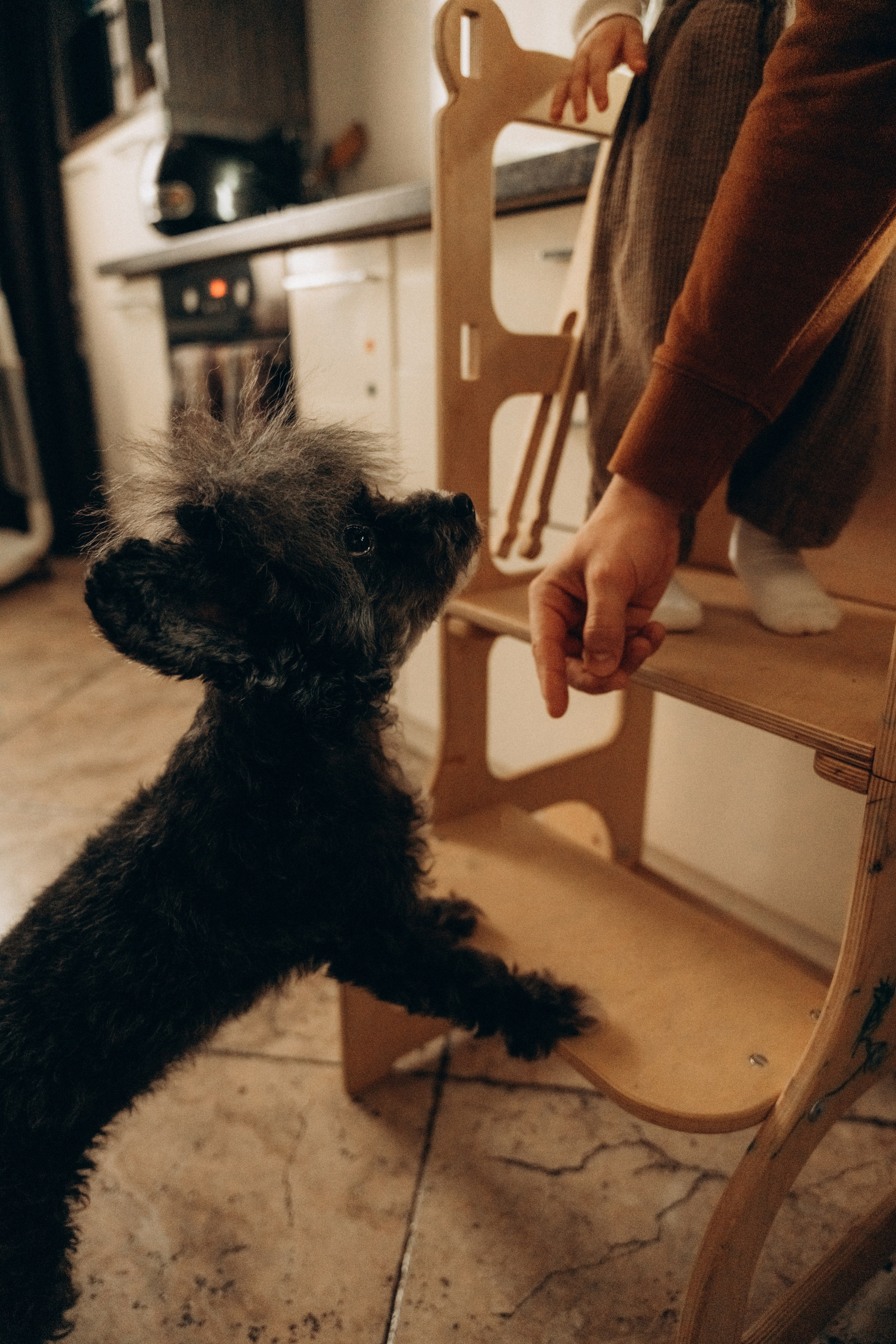 Анастасия, Илья, Дашка. Фотограф Мария Миллс | Минск