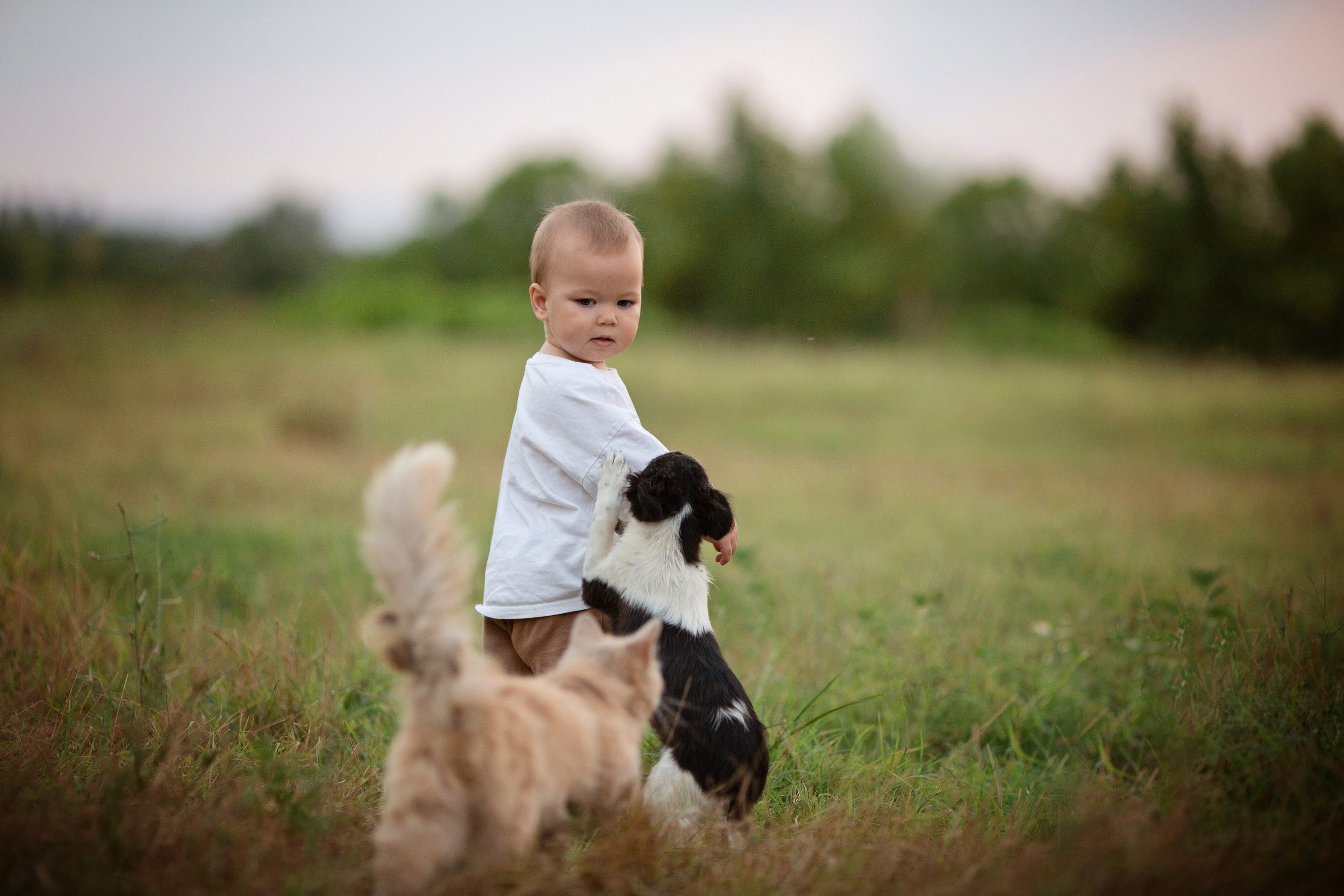 Семья. Женский фотограф в Краснодаре Данилова Анна