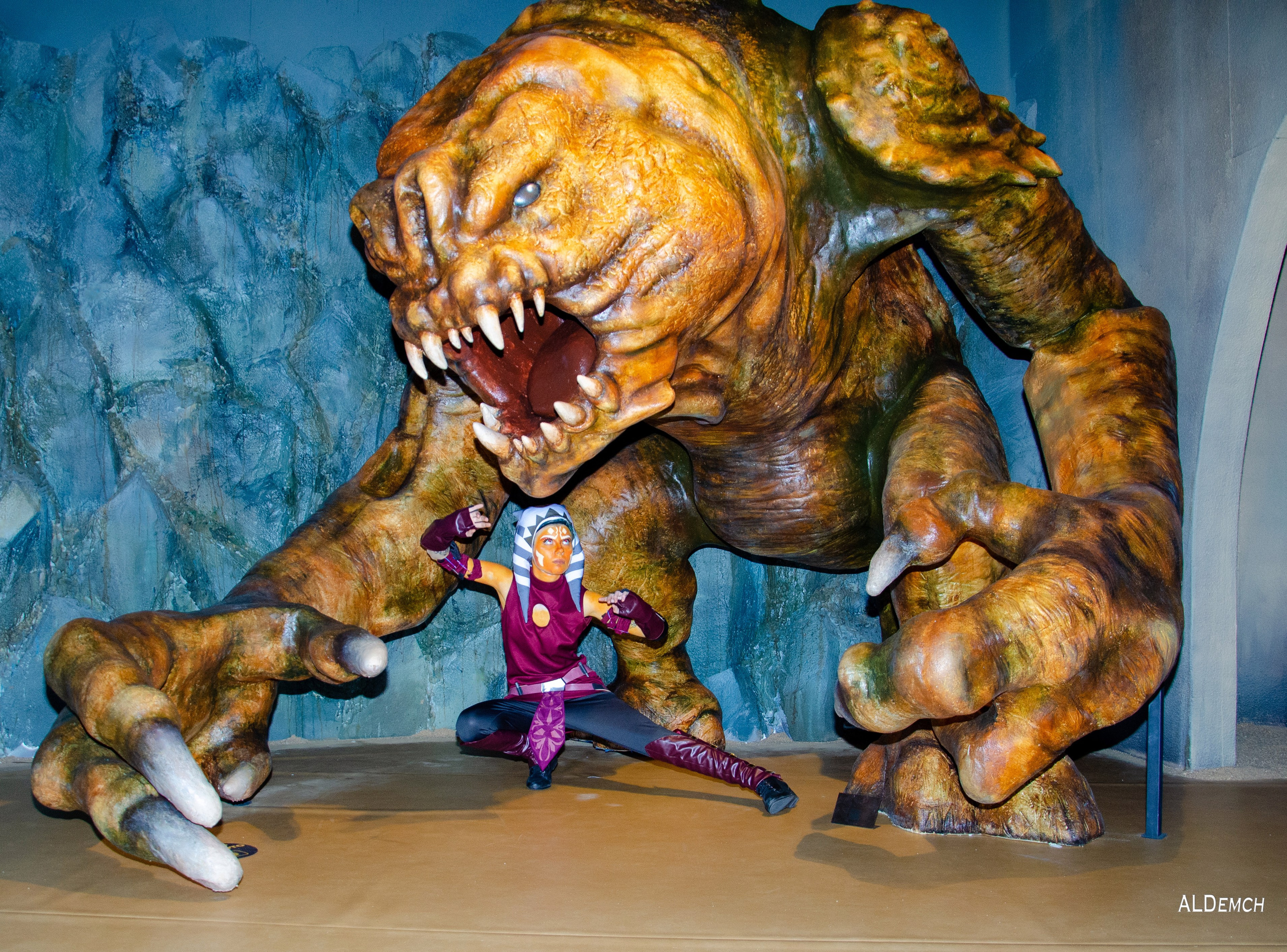 Звёздные войны картинки персонажей и косплей фото в Москве