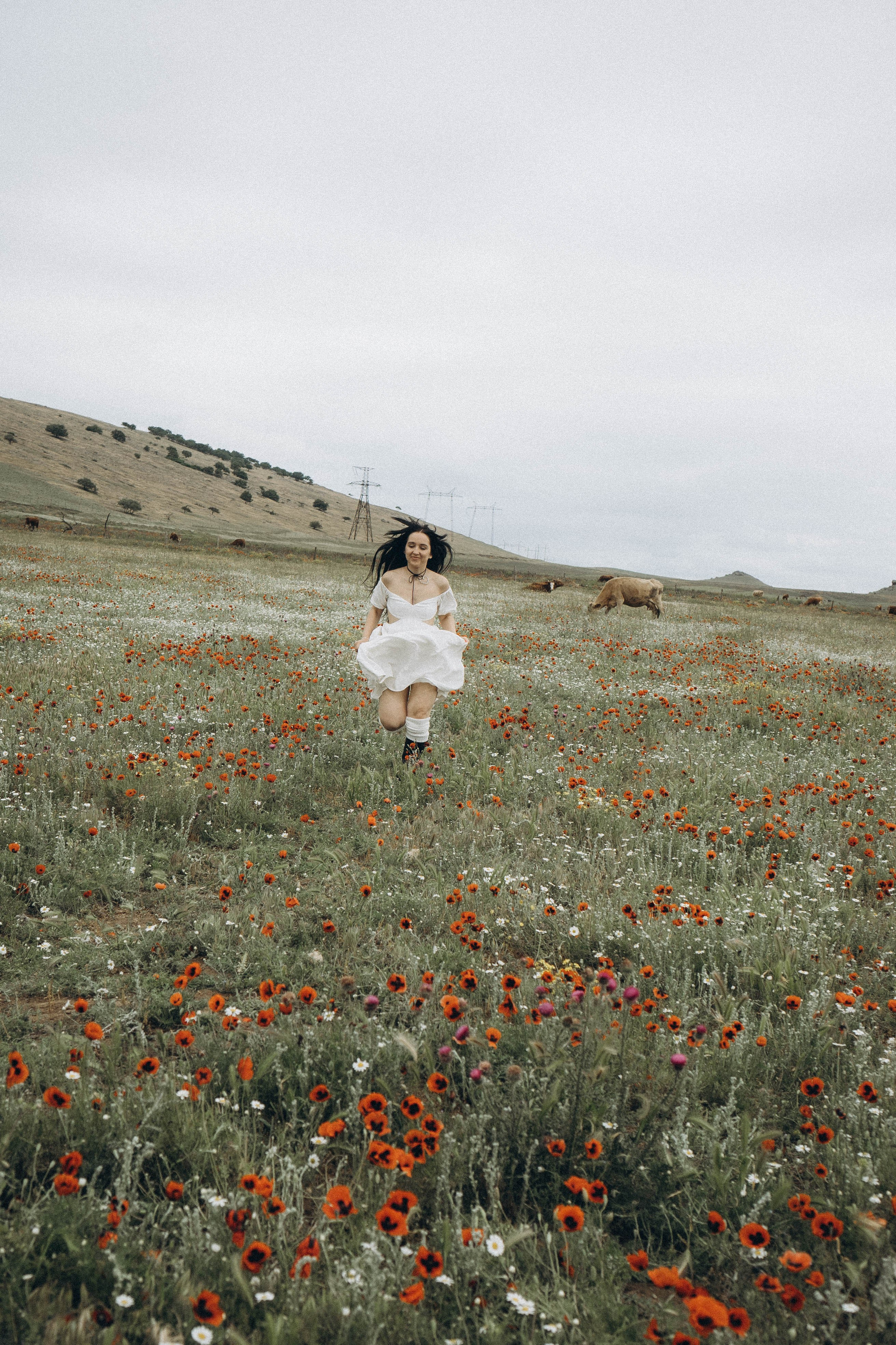 Маковое поле. Профессиональный фотограф, Санкт-Петербург — Виктория Богомолова