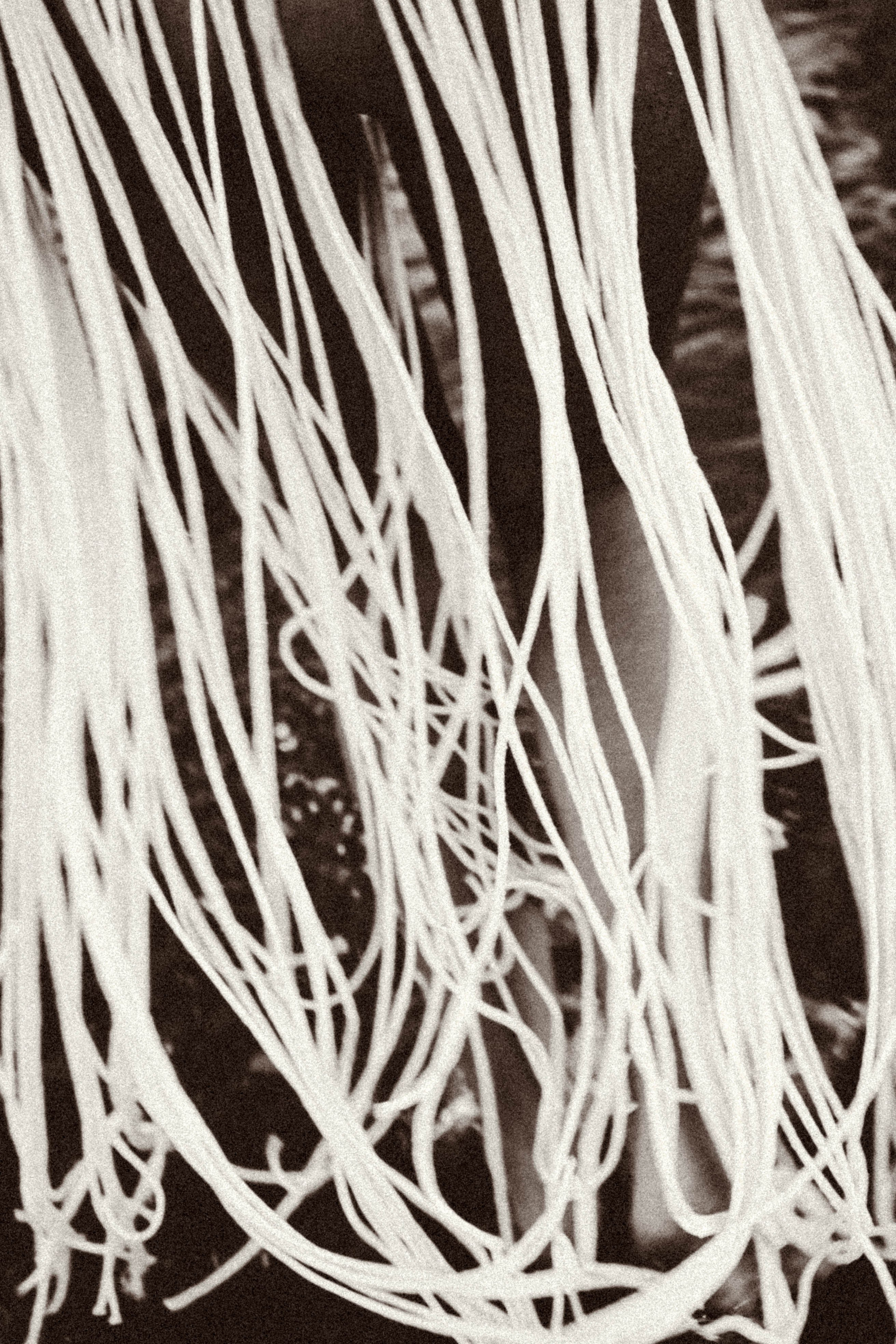 Рассвет. Профессиональный фотограф, Санкт-Петербург — Виктория Богомолова