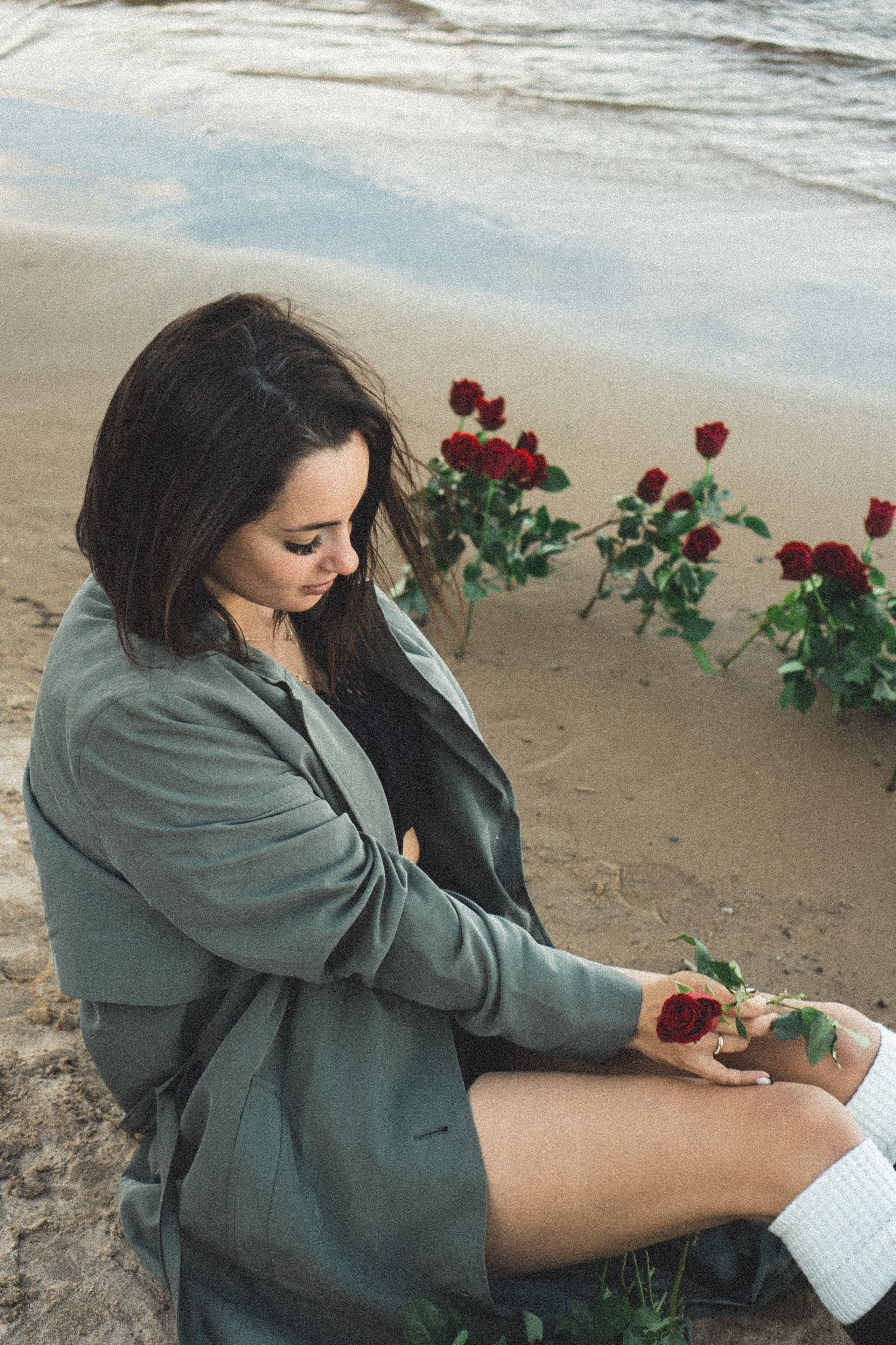 Розы. Профессиональный фотограф, Санкт-Петербург — Виктория Богомолова