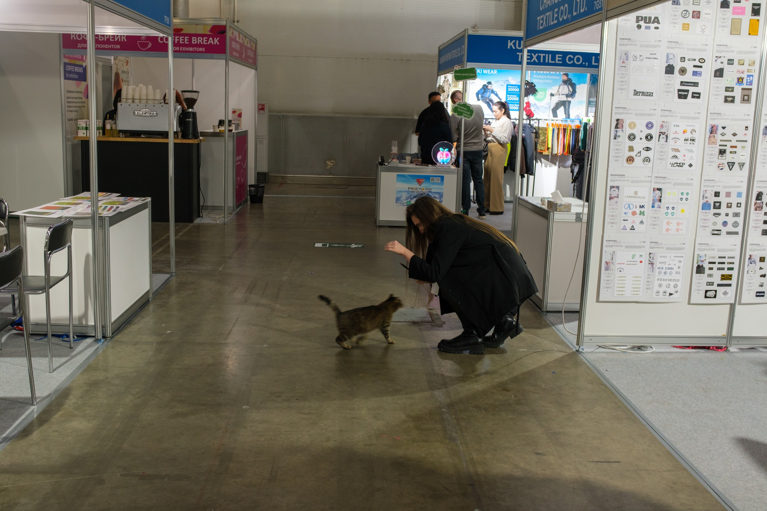 Девушка фотографирует кошечку на мобильный телефон