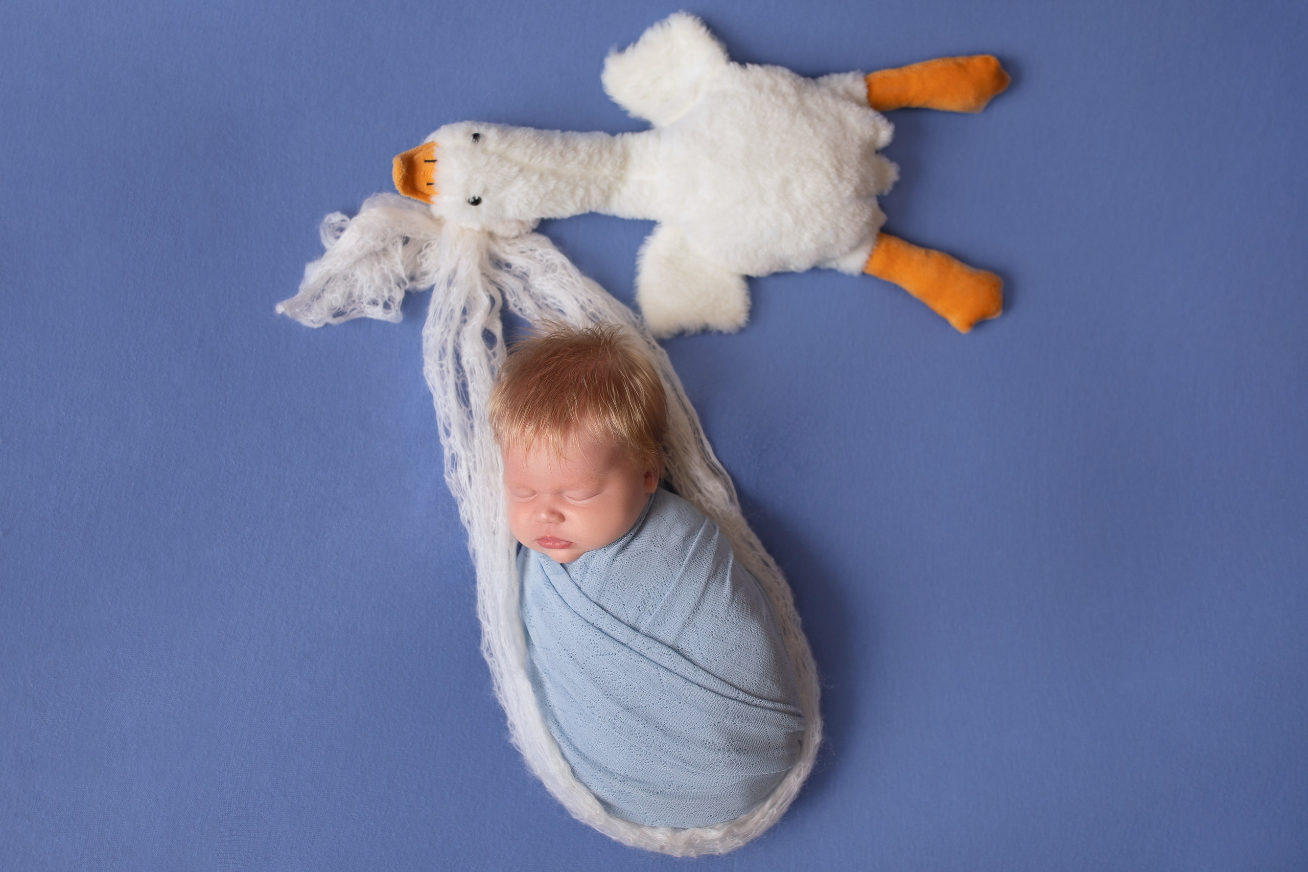 Фотосъемка младенцев Хабаровск, фотосессия новорожденных Хабаровск, фотосессия newborn Хабаровск