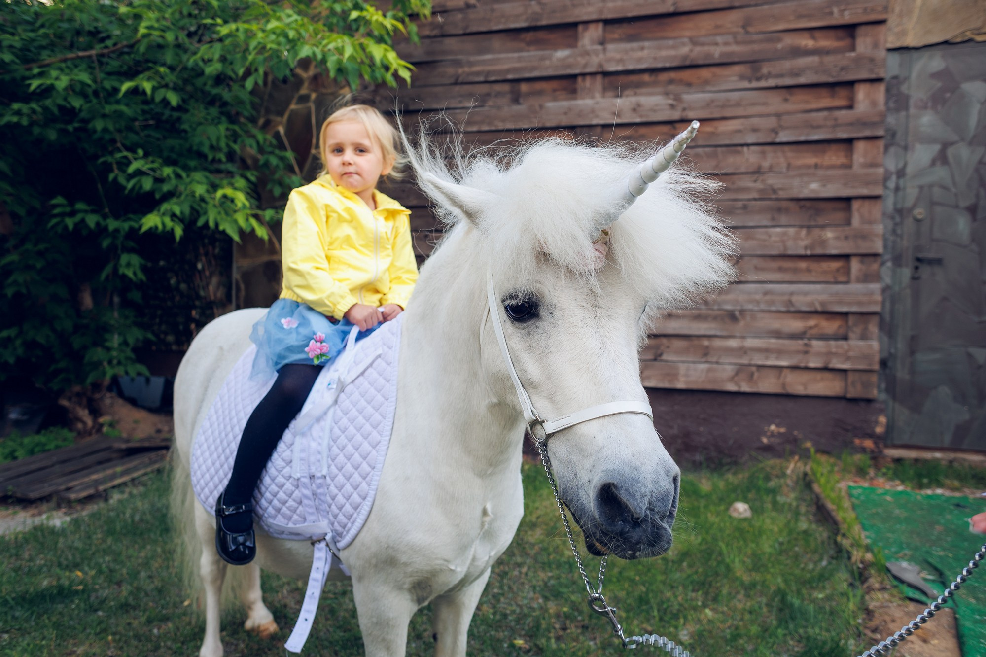 ДР В ЛОФТЕ. Свадебный и репортажный фотограф в Москве и Московской области